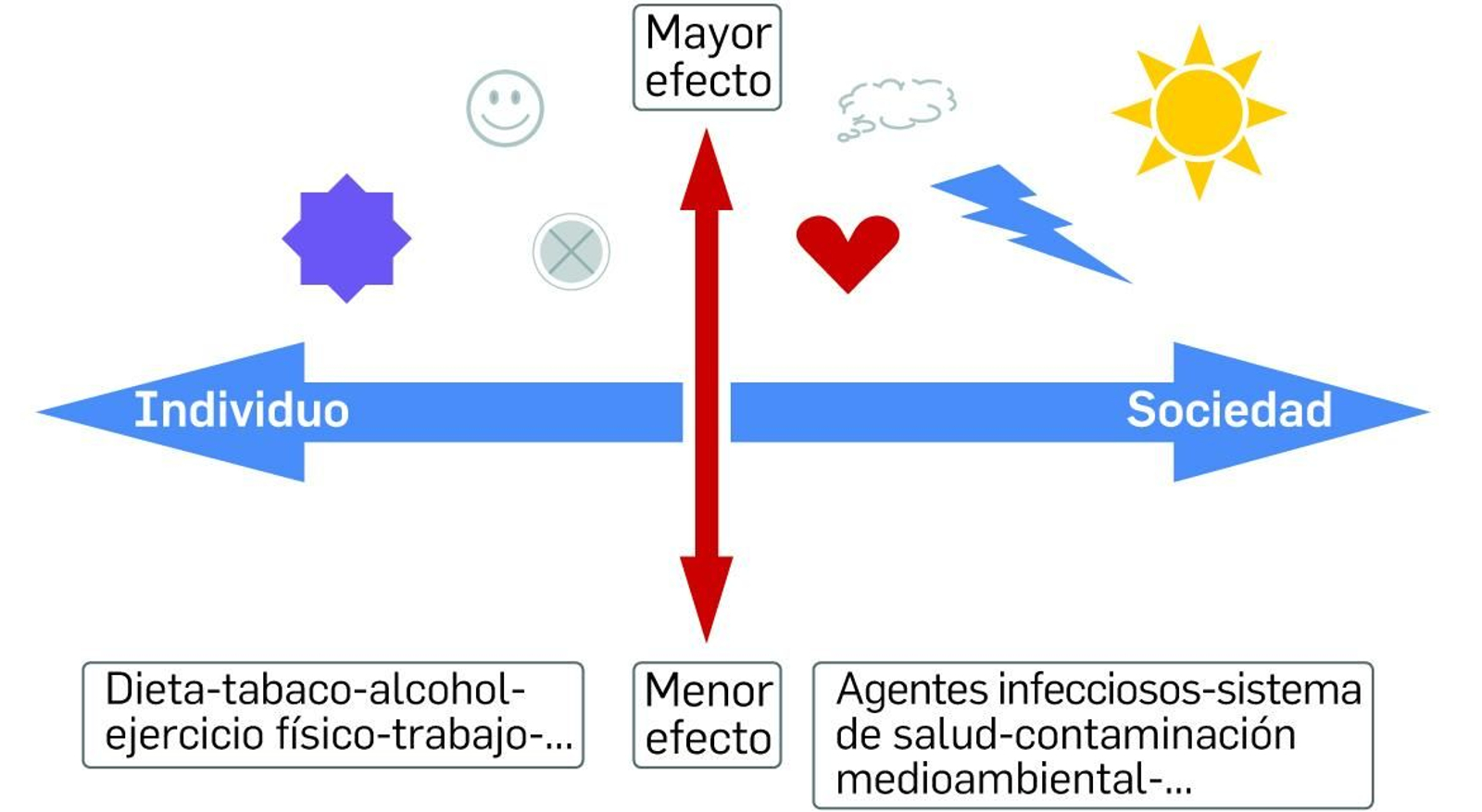1. Elementos del Exposoma, desde lo individual a lo social, con mayor o menor influencia sobre la salud y el bienestar de los individuos. 2. Elementos a trabajar la medicina y la educación en el futuro; al fenotipo y genotipo clásico se une  el exposoma.