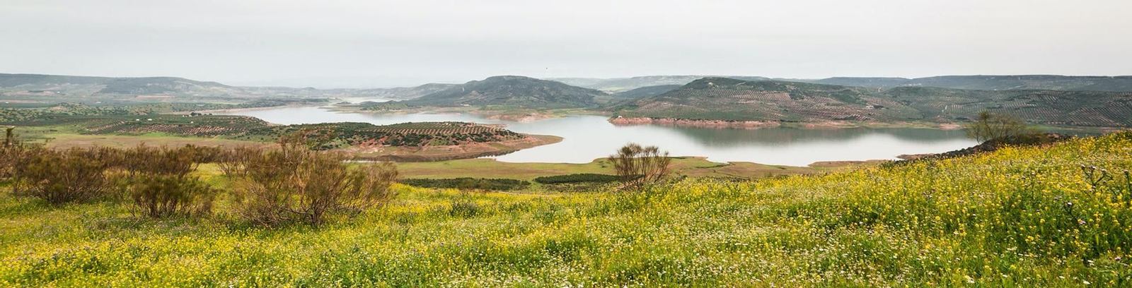 Ciudad fortificada de Giribaile.
