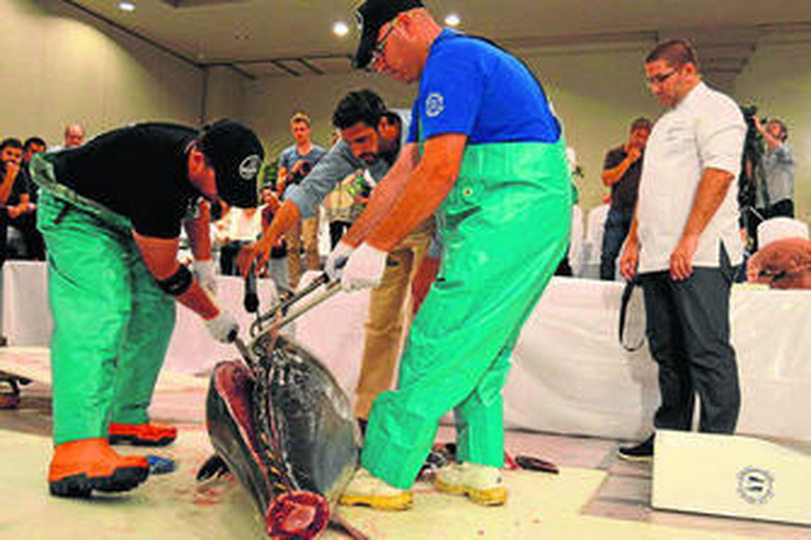 Proceso del ronqueo del atún, ayer.