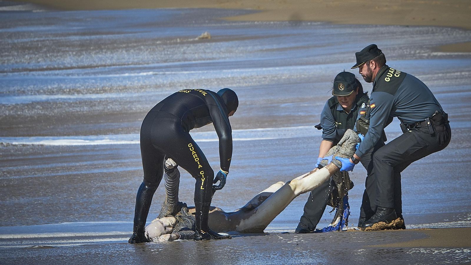 Agentes de la Guardia Civil sacan del agua la décima víctima del naufragio de la patera del pasado lunes.