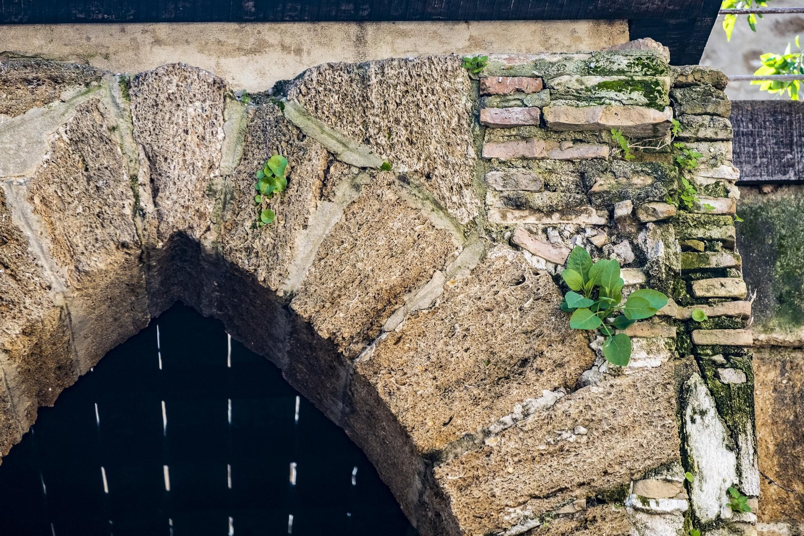 Arco de los Blanco y muralla medieval