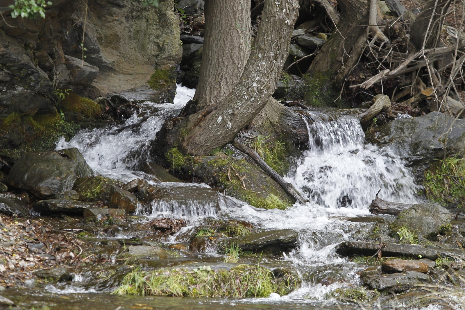 Naturaleza desconfinada. La Roza (Abrucena)