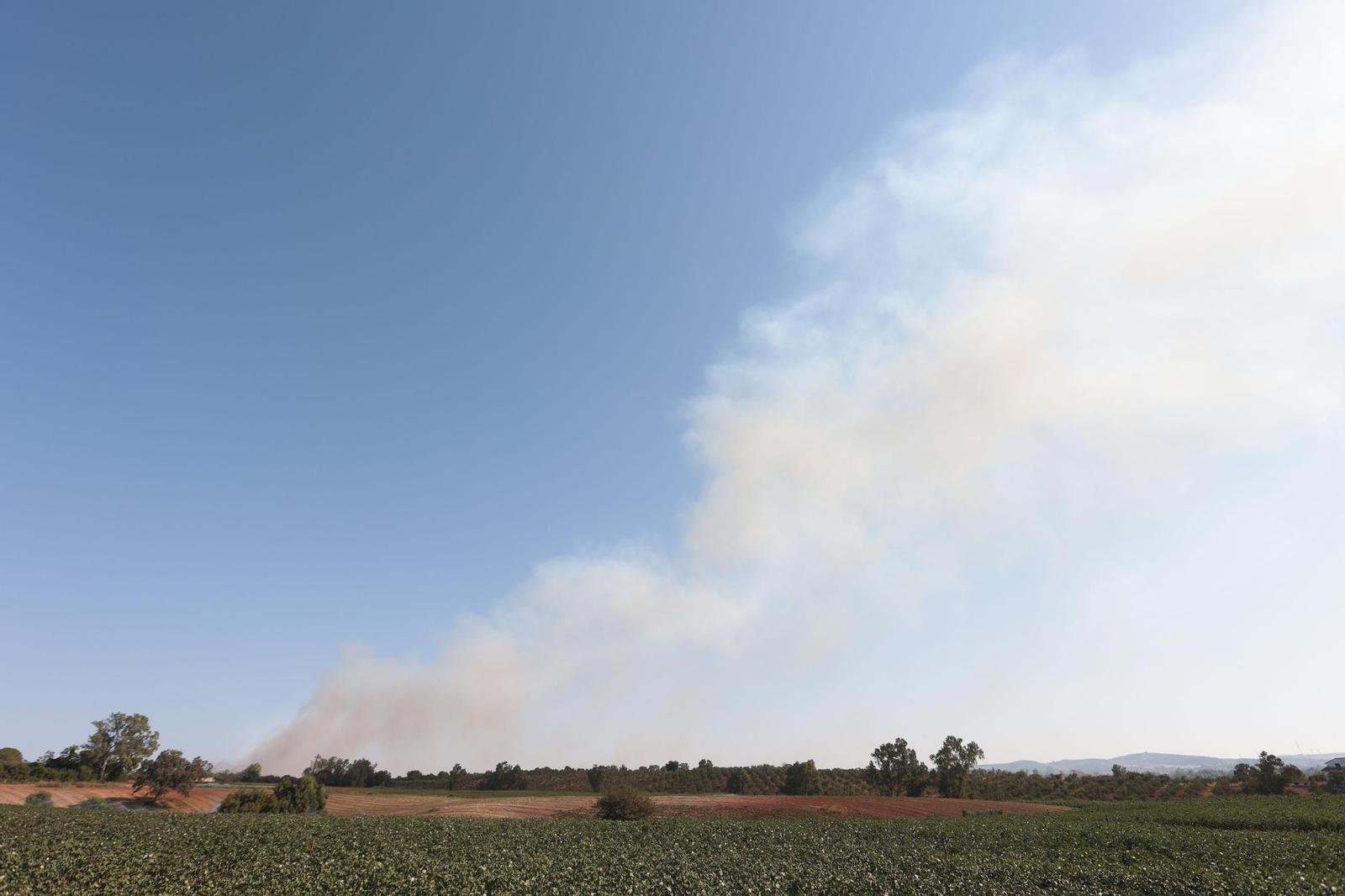 Columna de humo de uno de los incendios desatados este miércoles día 13 en la zona rural de Jerez y de los que el Infoca da por estabilizados