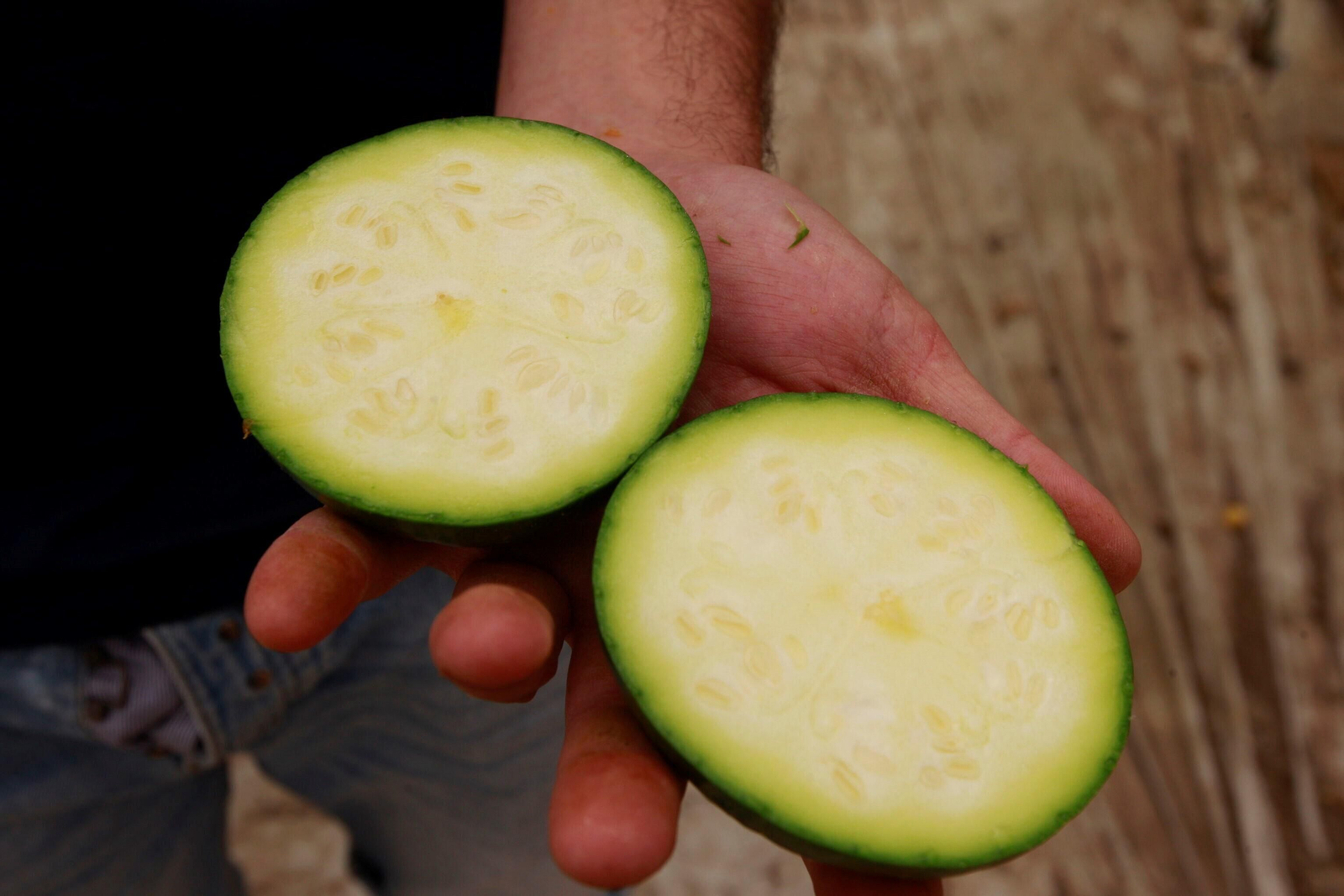 Vea cómo es el Zucchiolo, el producto de moda de la huerta almeriense