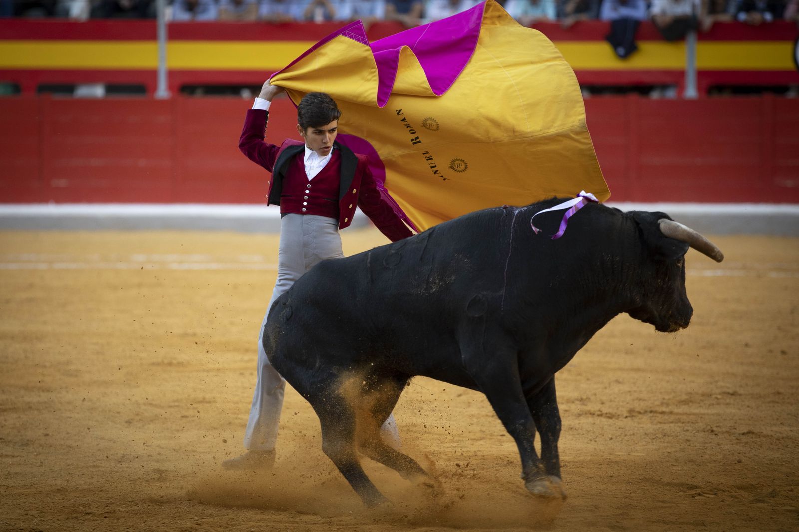 Las mejores imágenes del Festival Taurino en beneficio de Granadadown