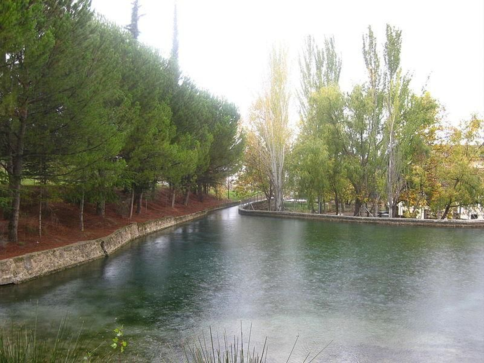 Un refugio para la flora y fauna: descubre los parajes acuáticos de Jaén en el Día Mundial de los Humedales