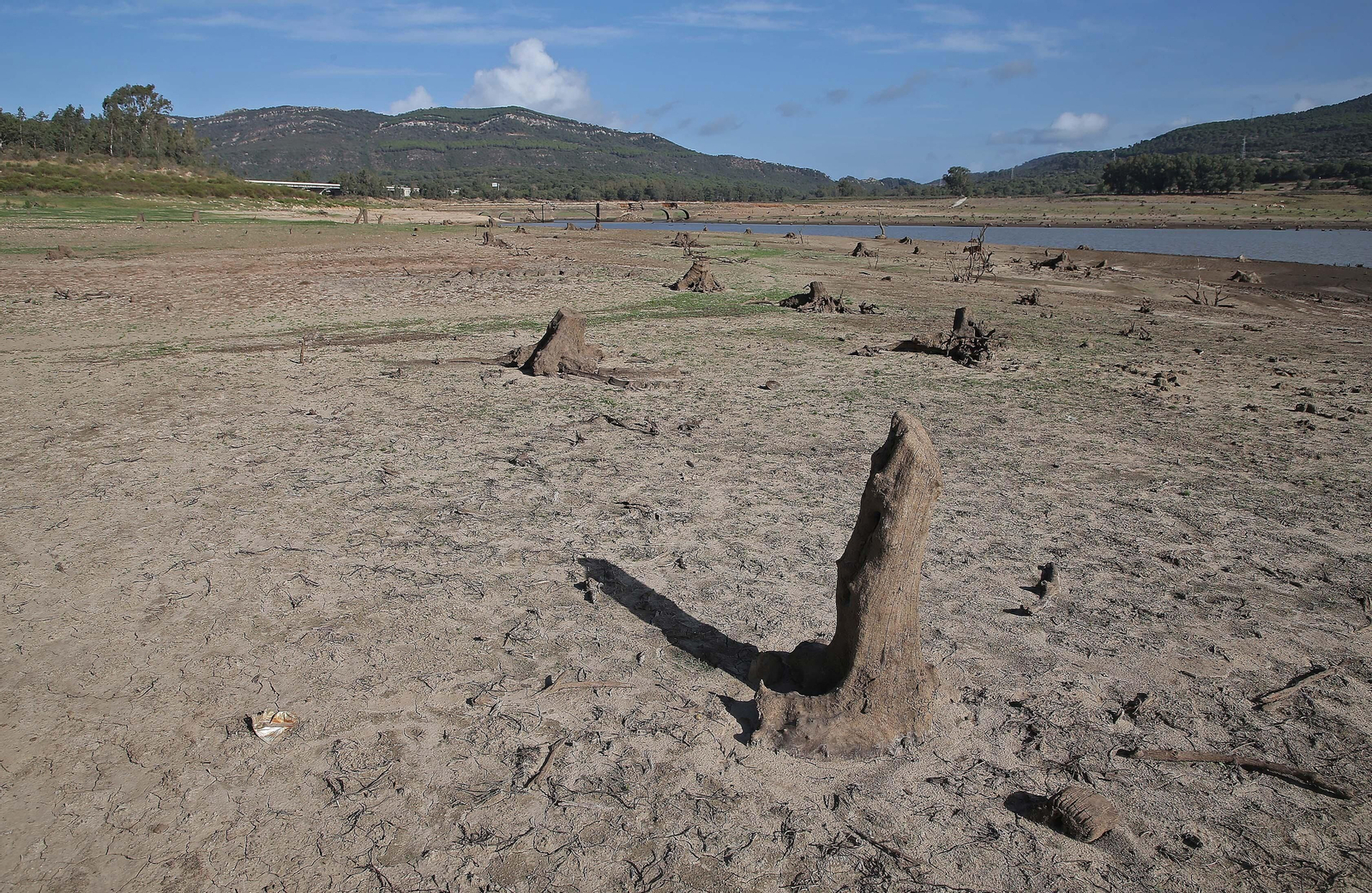 Imágenes del pantano de Charco Redondo en Los Barrios
