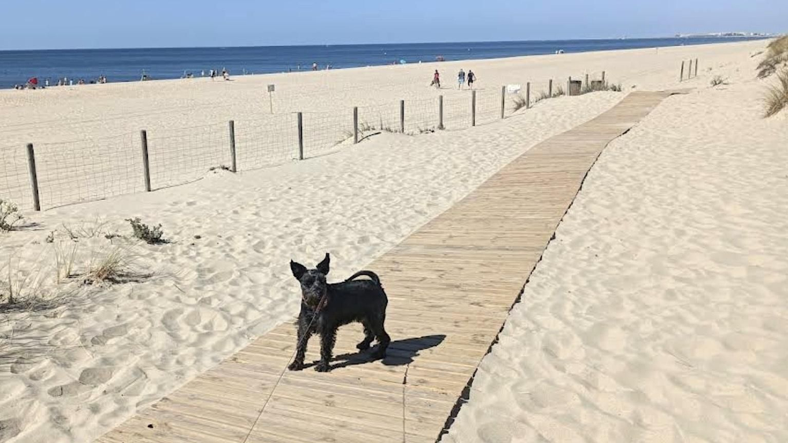 Playa de Pesmar (Icona)