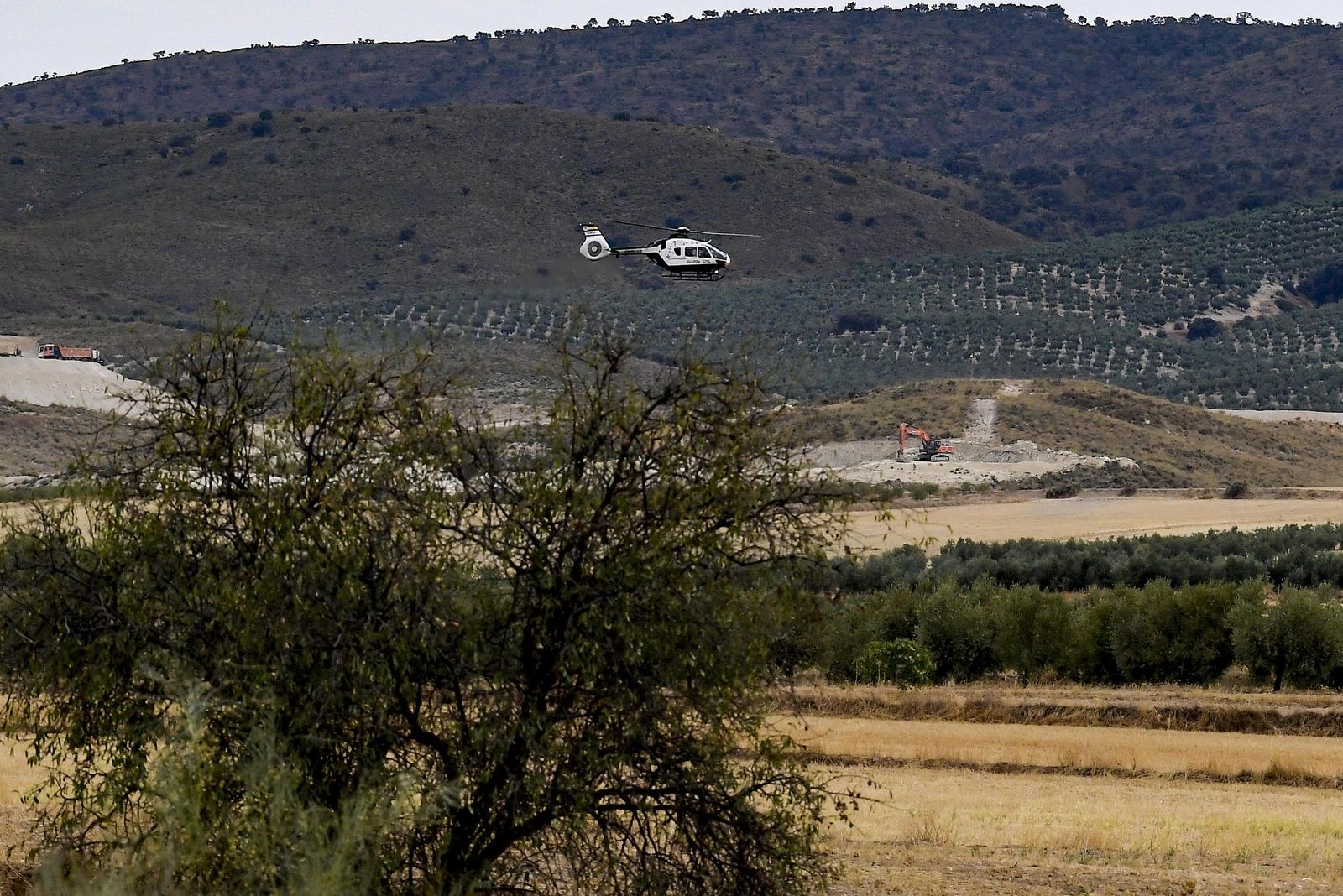 Fotos: así está siendo hoy la búsqueda de la pantera de Granada por tierra y aire