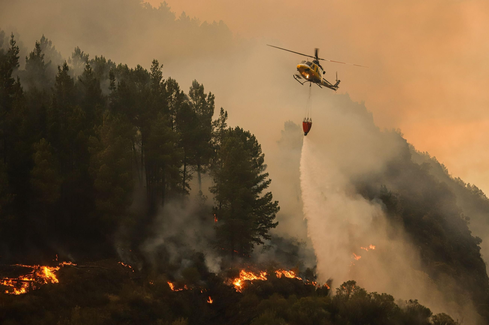 Trabajos para extinguir un incendio en Lugo