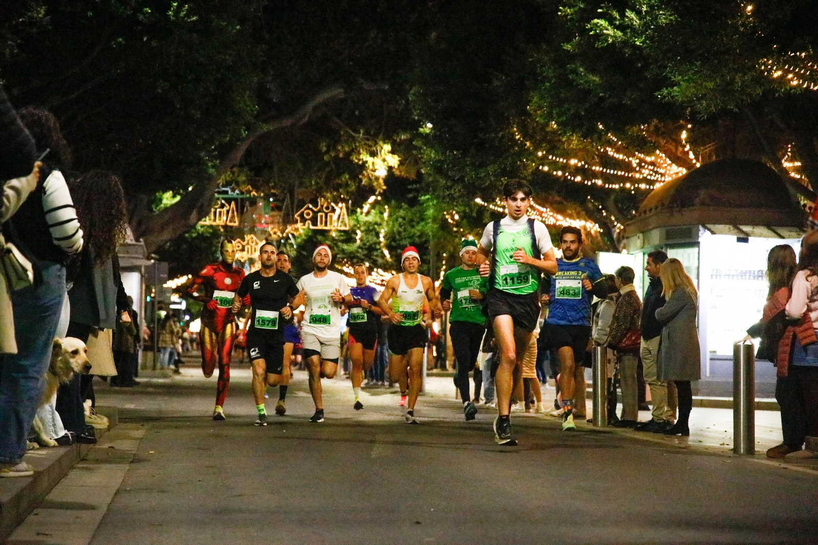 Varios corredores participantes atravesando el tramo del Paseo de Almería durante el transcurso de la prueba.