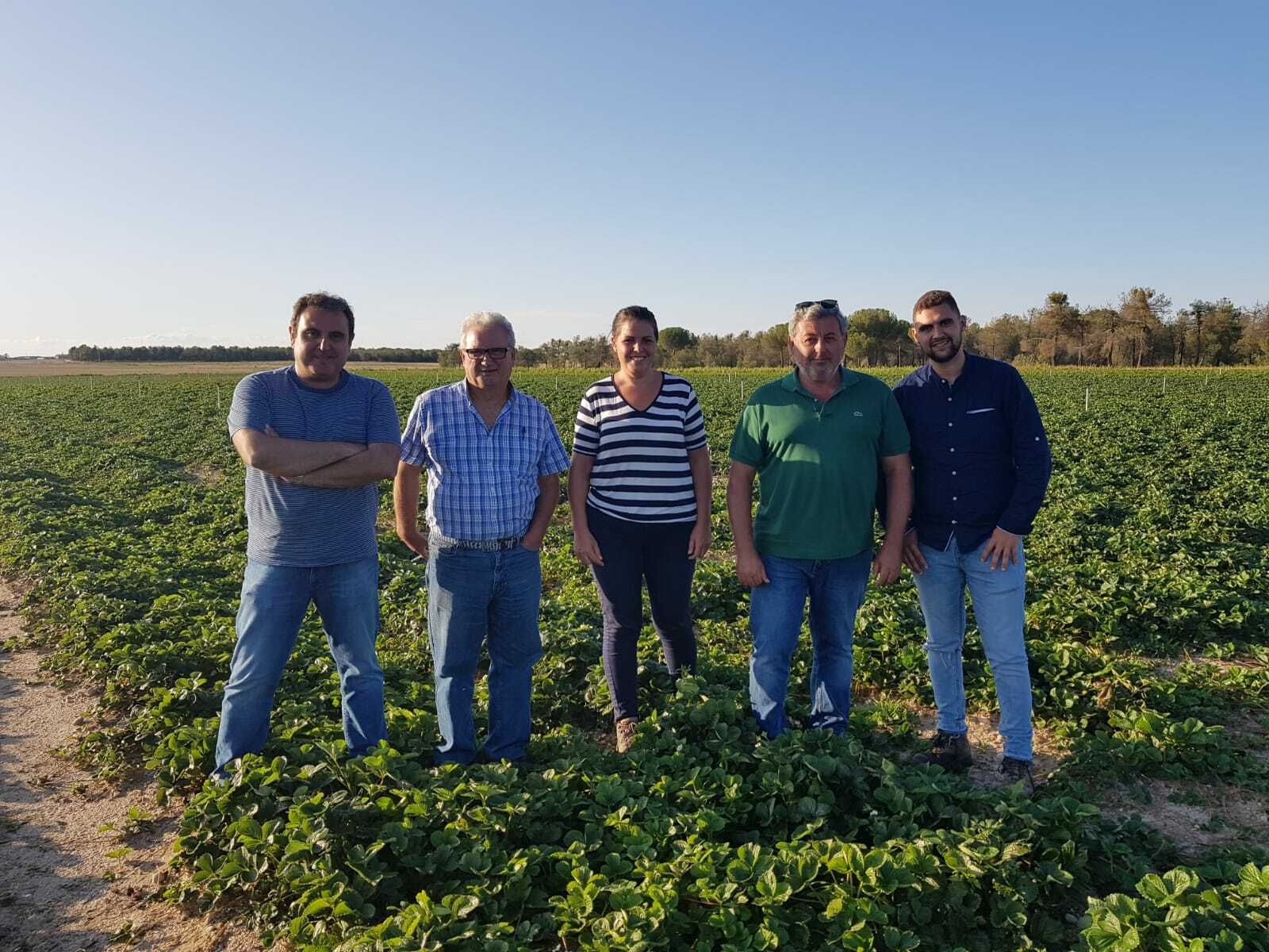 Responsables de Grufesa en una de las plantaciones.