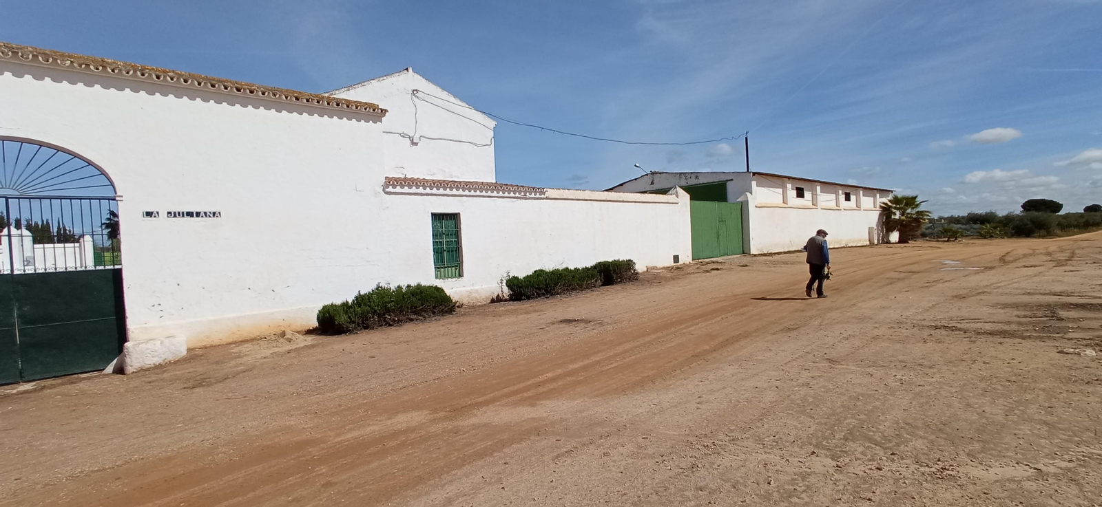Las imágenes de la Ruta Azul en Bollullos de la Mitación