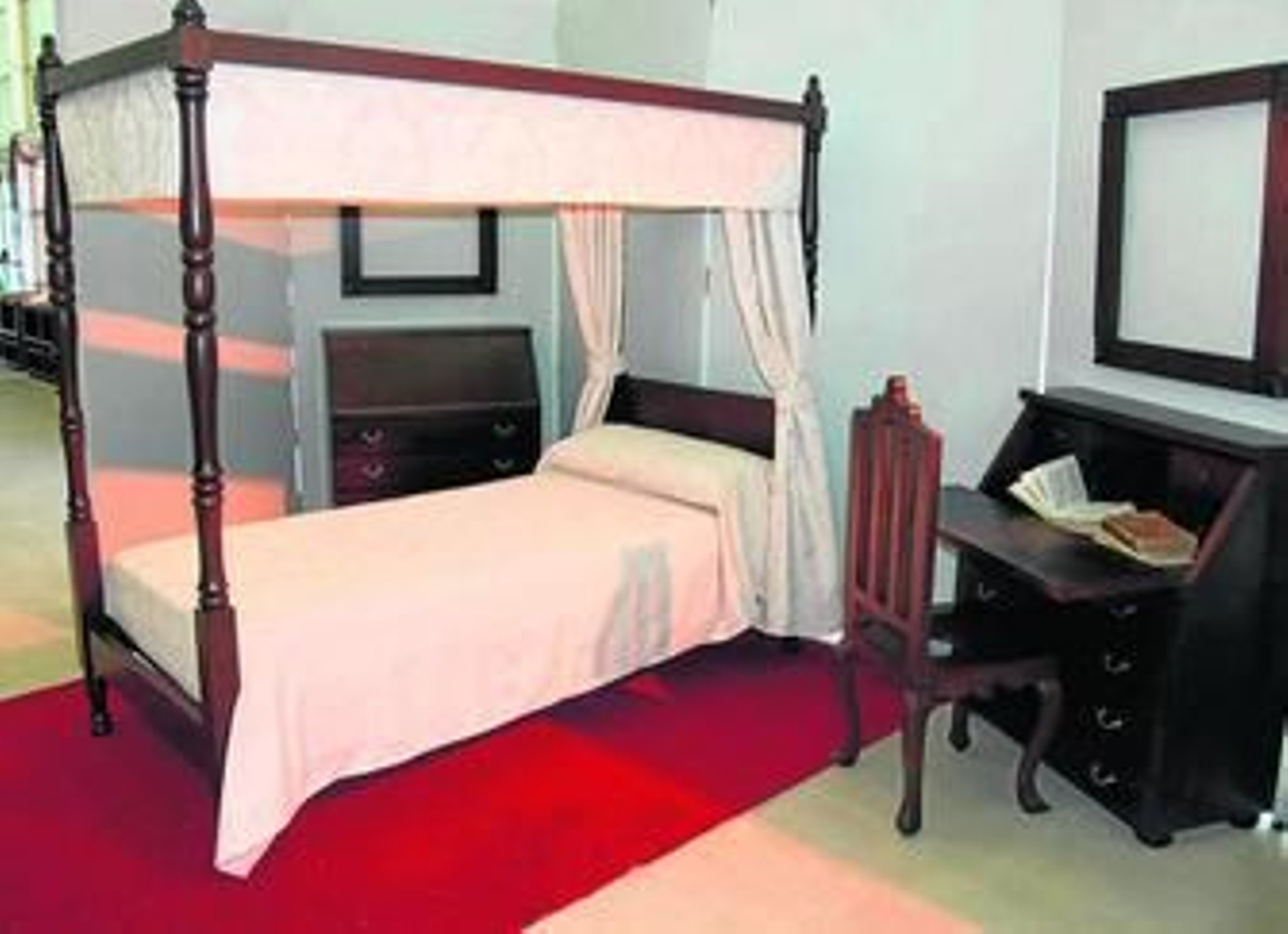 El proyecto es resultado de la colaboración entre APIMAD y CEMER.