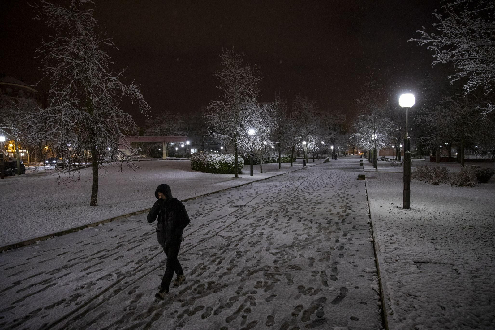 Nevada en Vitoria (País Vasco)