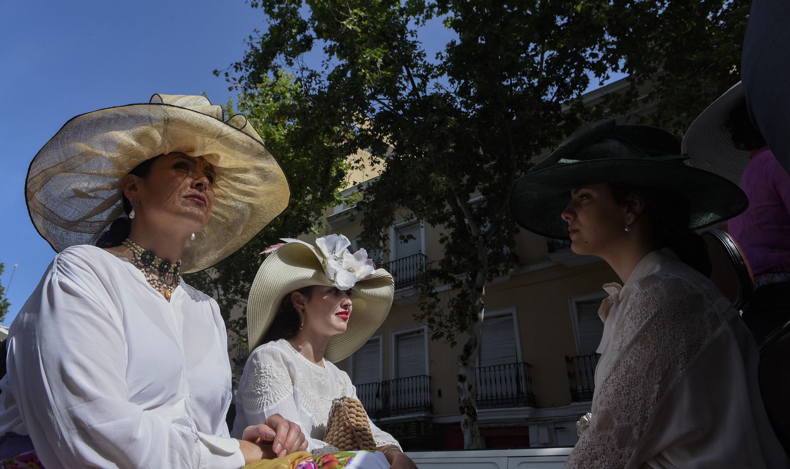 Las imágenes de la Exhibición de Enganches en la Maestranza