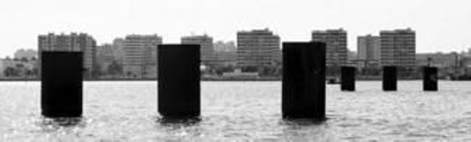 En la imagen, varios de los pilotes de dos de las pilas que se levantarán en aguas de la Bahía.