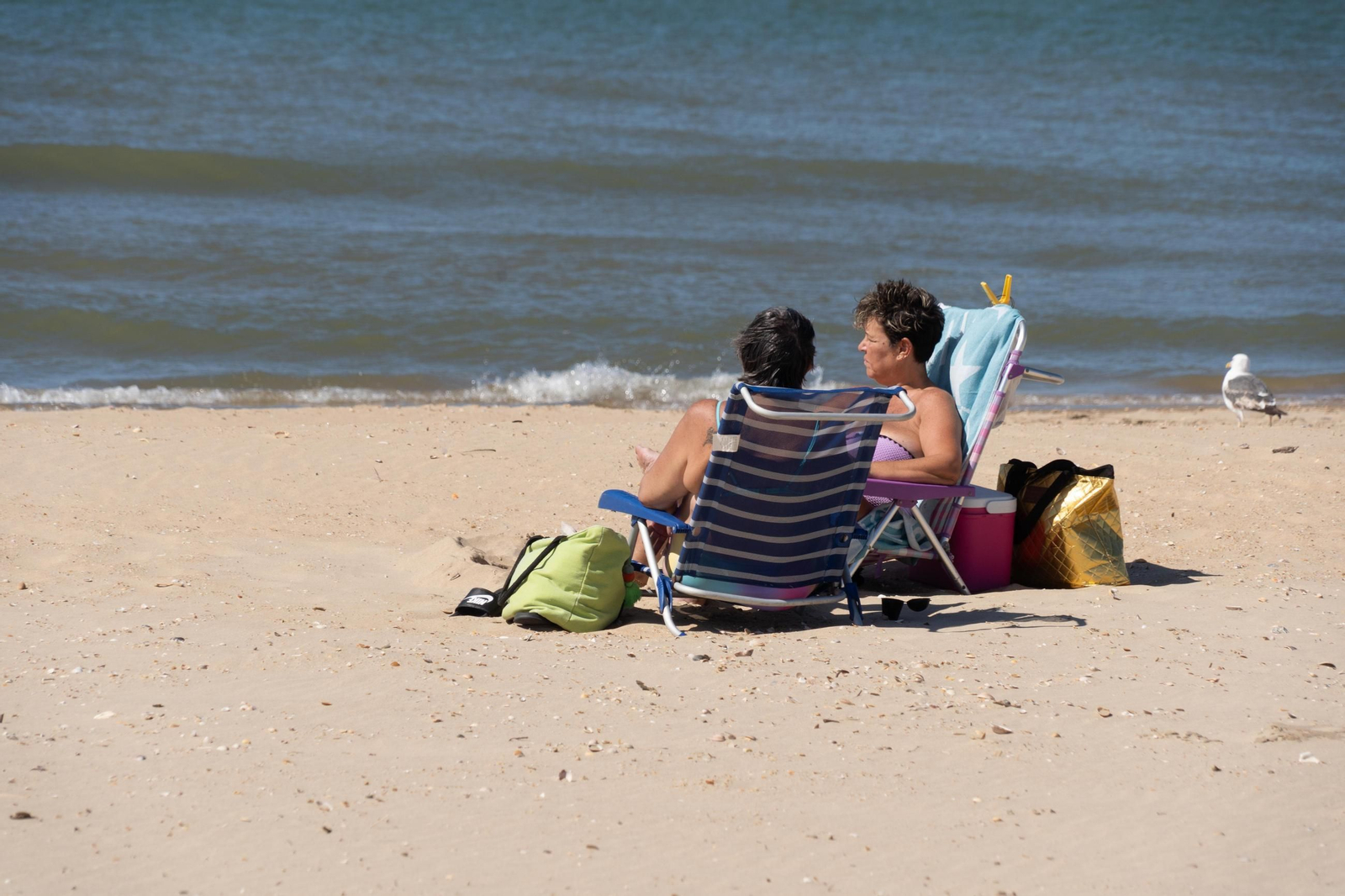 La Playa de la Bota este domingo, soleada, viva&nbsp;y&nbsp;con&nbsp;brisa
