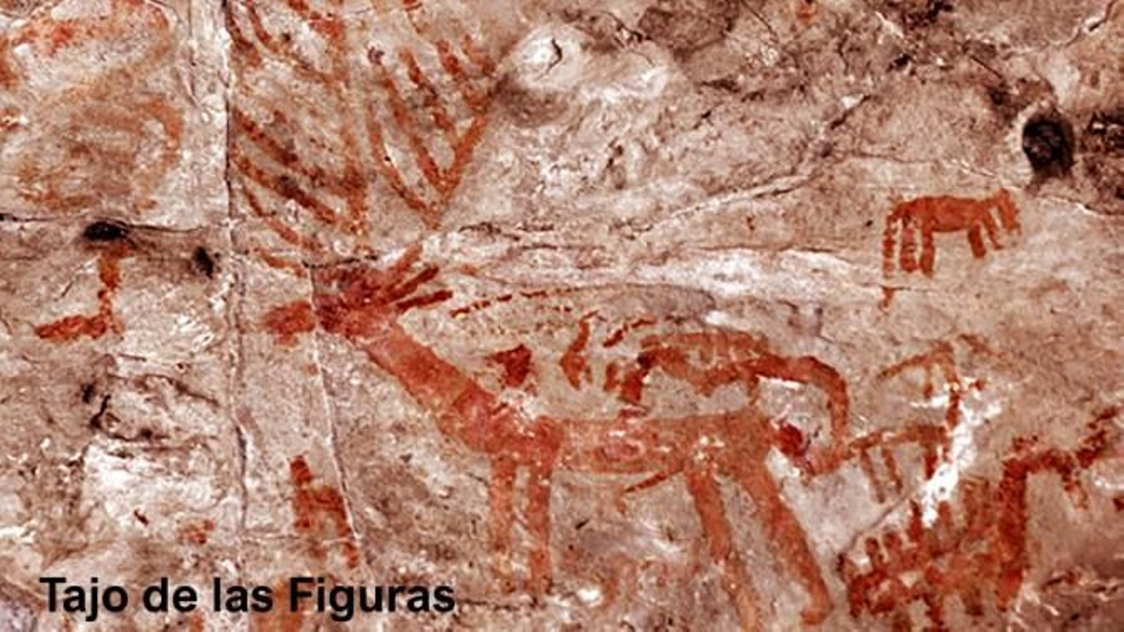 Detalle cérvido del Tajo de las Figuras.