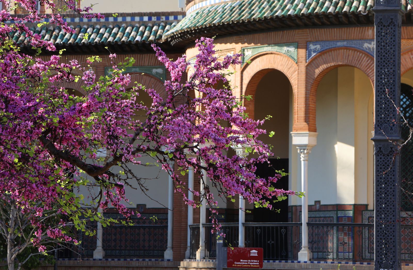Comienzo de la primavera en Sevilla