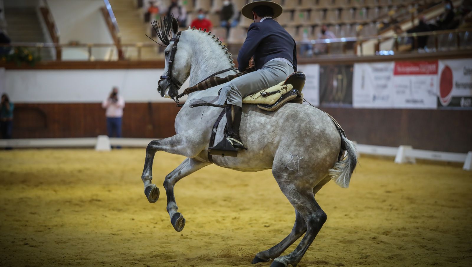 XIV Copa del Rey de Doma Vaquera y exhibición de la Real Escuela Andaluza del Arte Ecuestre