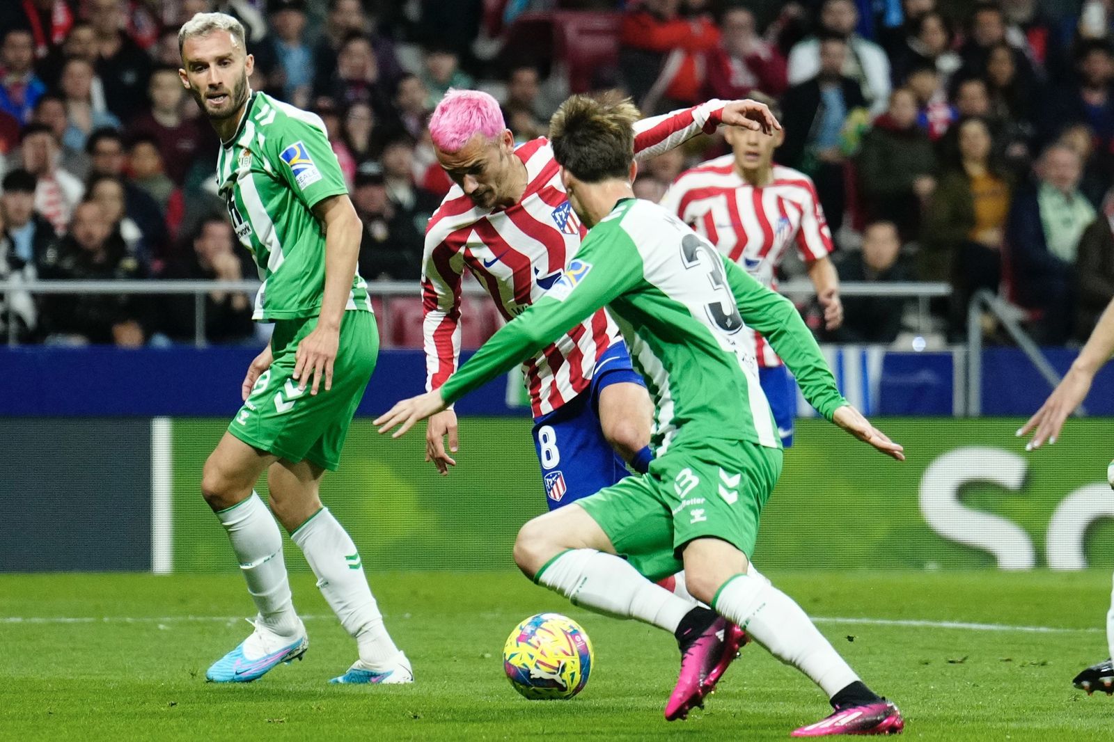 Las fotos del Atlético Madrid - Betis