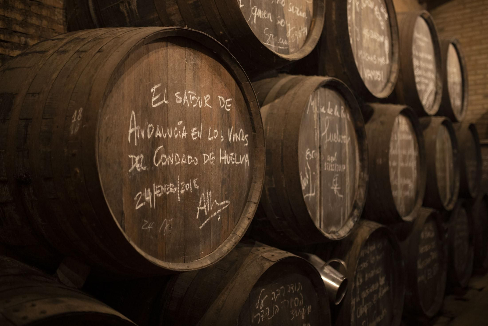 Imágenes de la vendimia en el Condado de Huelva