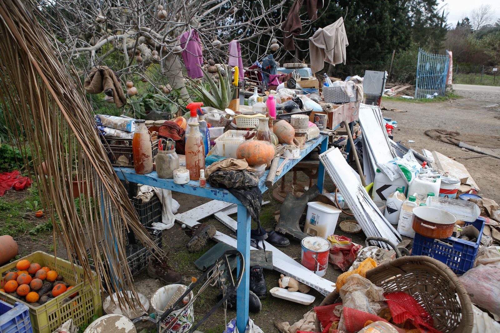 Fotos de las consecuencias de la borrasca Francis en Tesorillo y Jimena