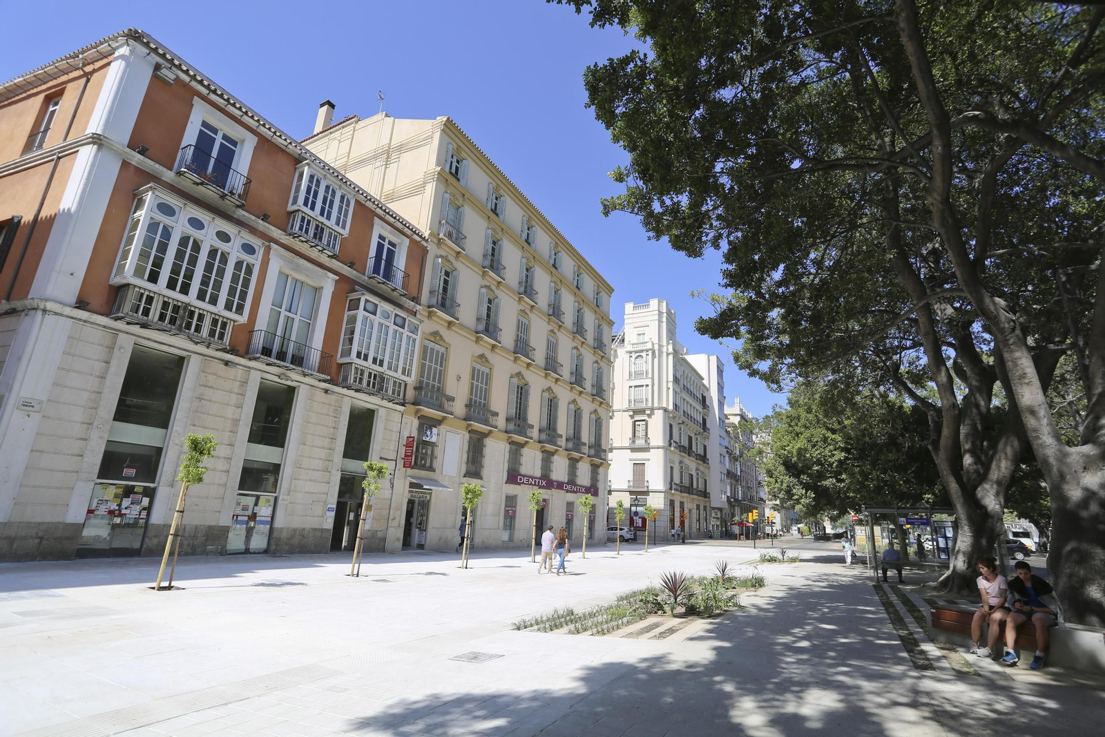 Las fotos de la Alameda Principal de Málaga Las fotos de la Alameda Principal de Málaga