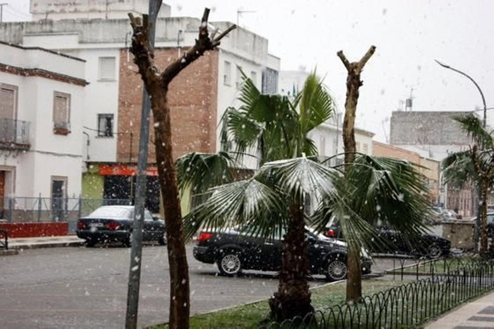 Nevada en Brenes.

Foto: Antonio Barea Sanchez