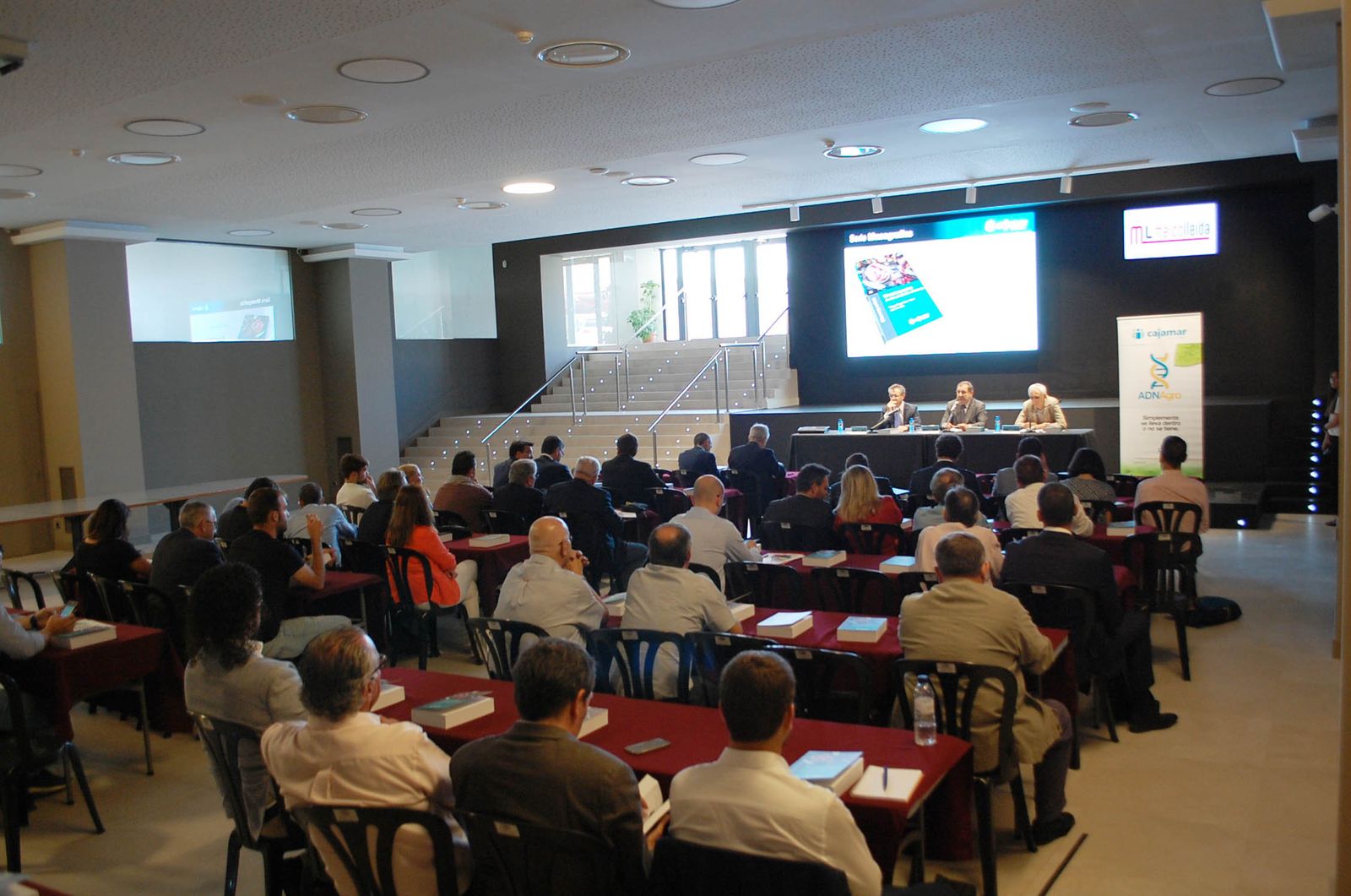 El sector porcino necesita un plan de comercialización para el próximo lustro