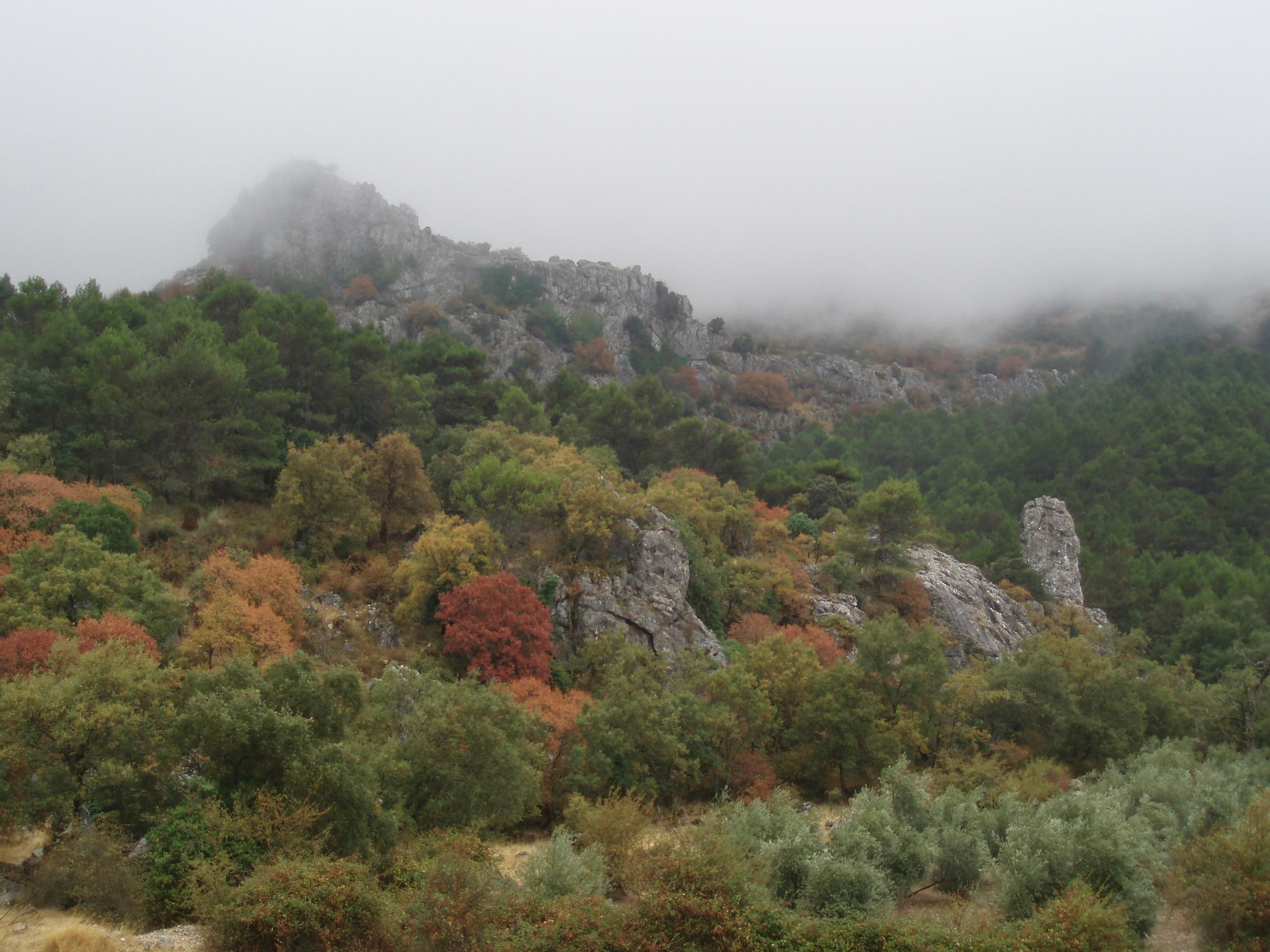 Los tajos de la Sierra de Camarolos no desmerecen al carácter de un Heathcliff de provincias.