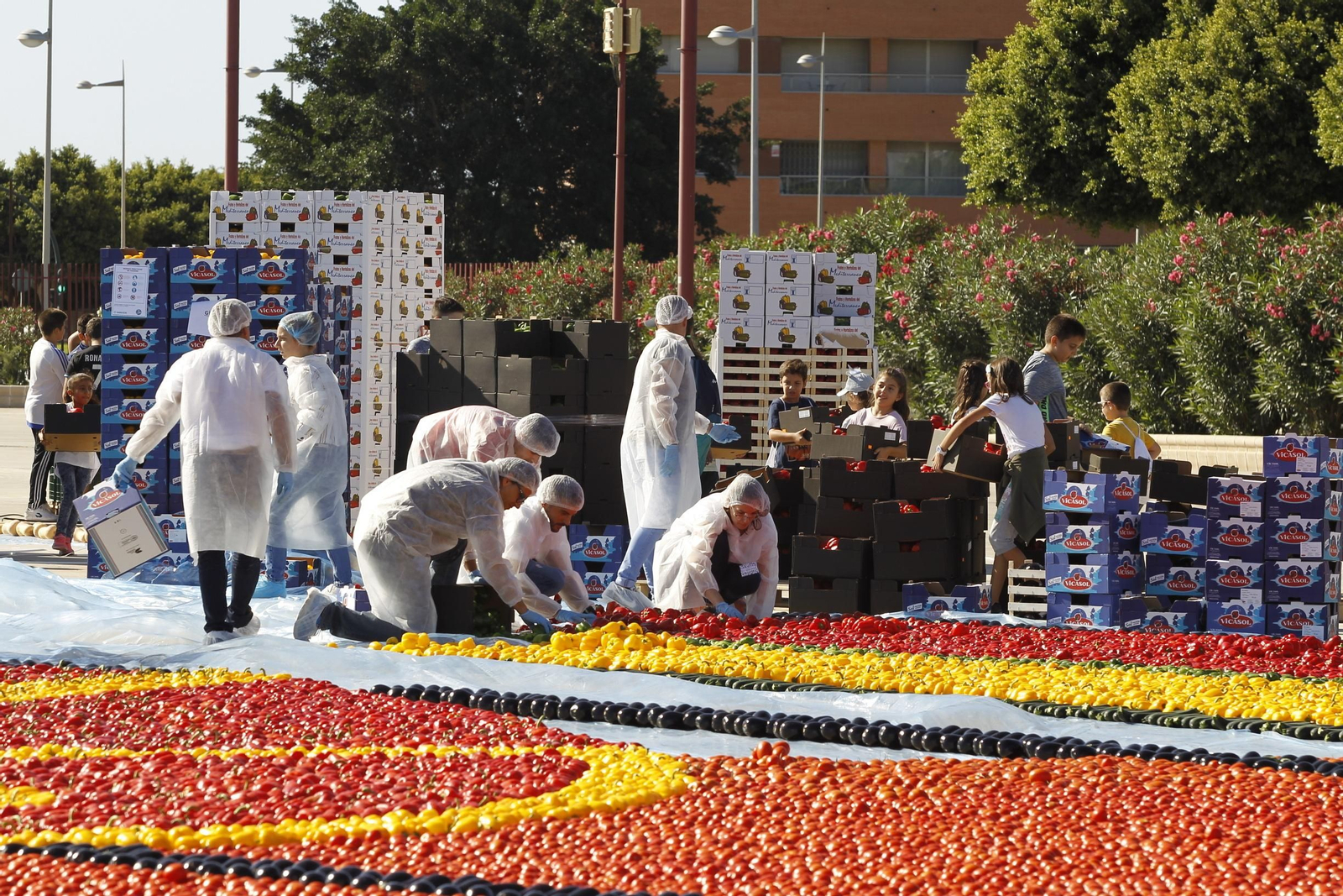 Fotogalería Récord Guinness Corazón Hortalizas Almería
