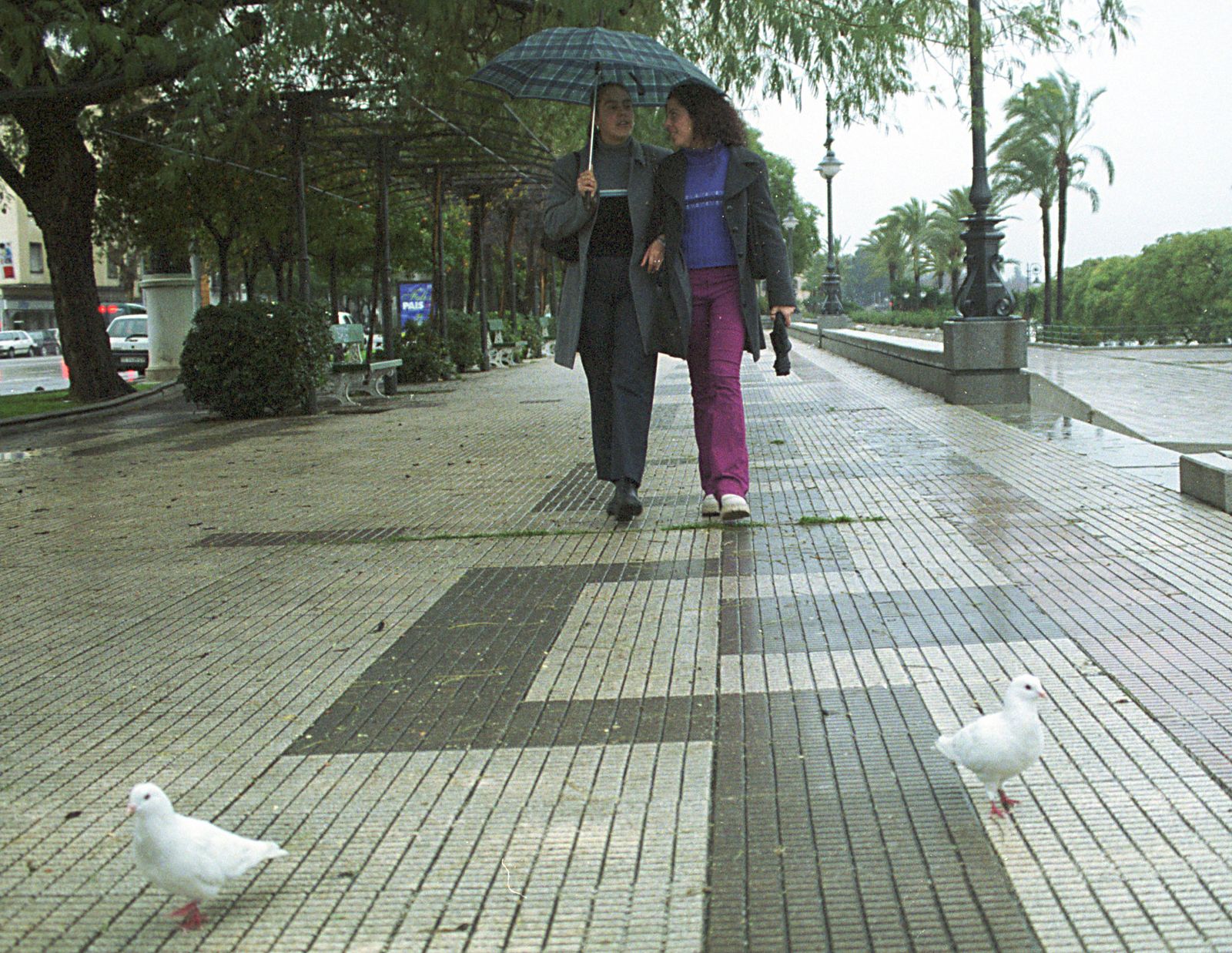 Dos chicas pasean junto al río Guadalquivir bajo un paraguas.