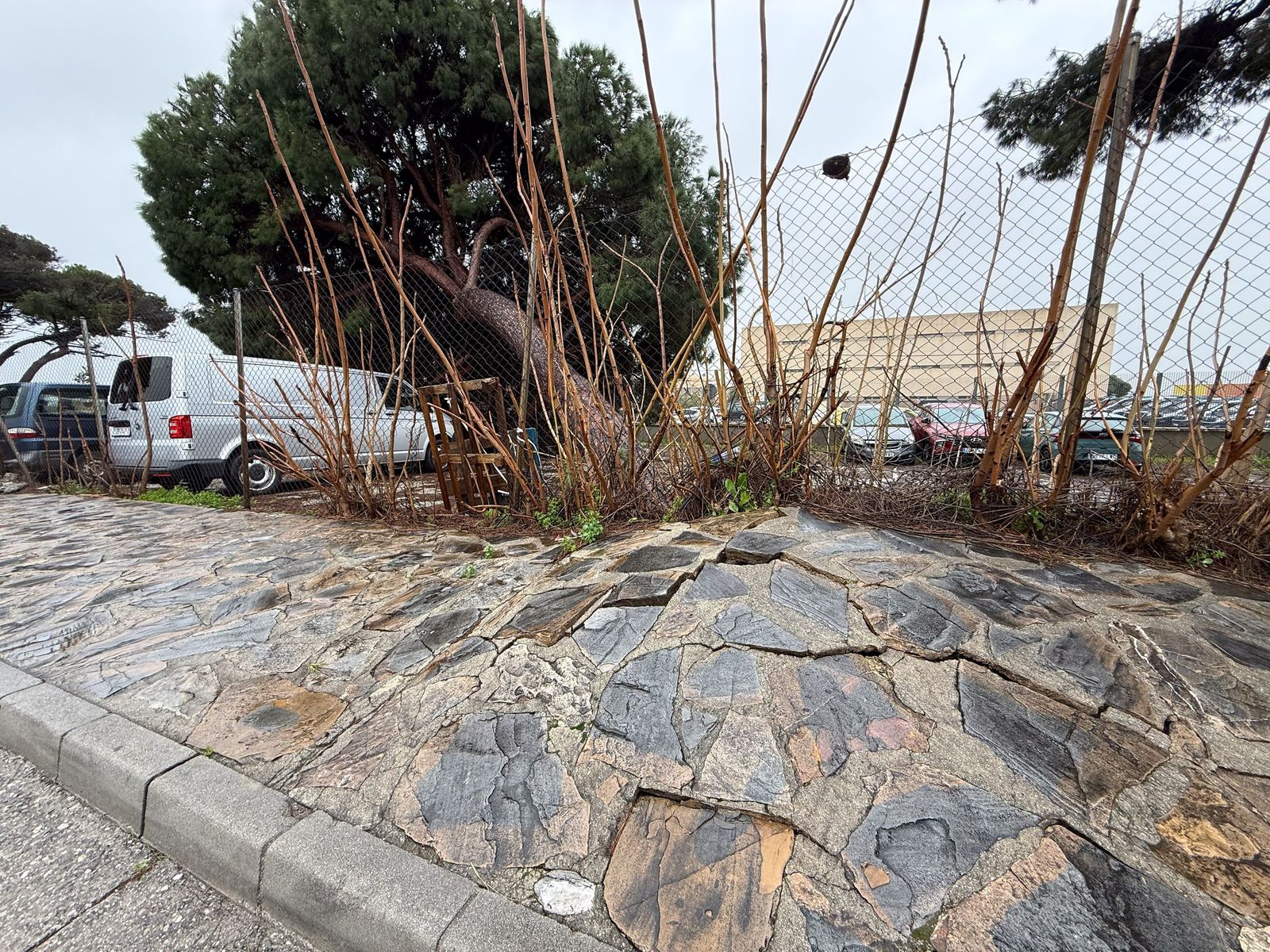Fotos: Así amaneció el Campo de Gibraltar tras el paso de la borrasca Leonardo