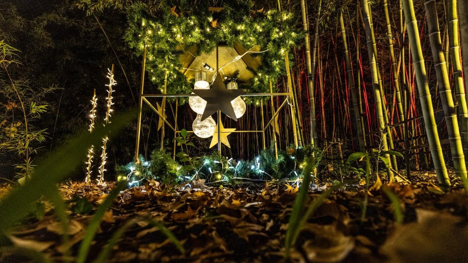 Otra de las zonas de Ilusión en el Jardín Botánico. Otra de las zonas de Ilusión en el Jardín Botánico.