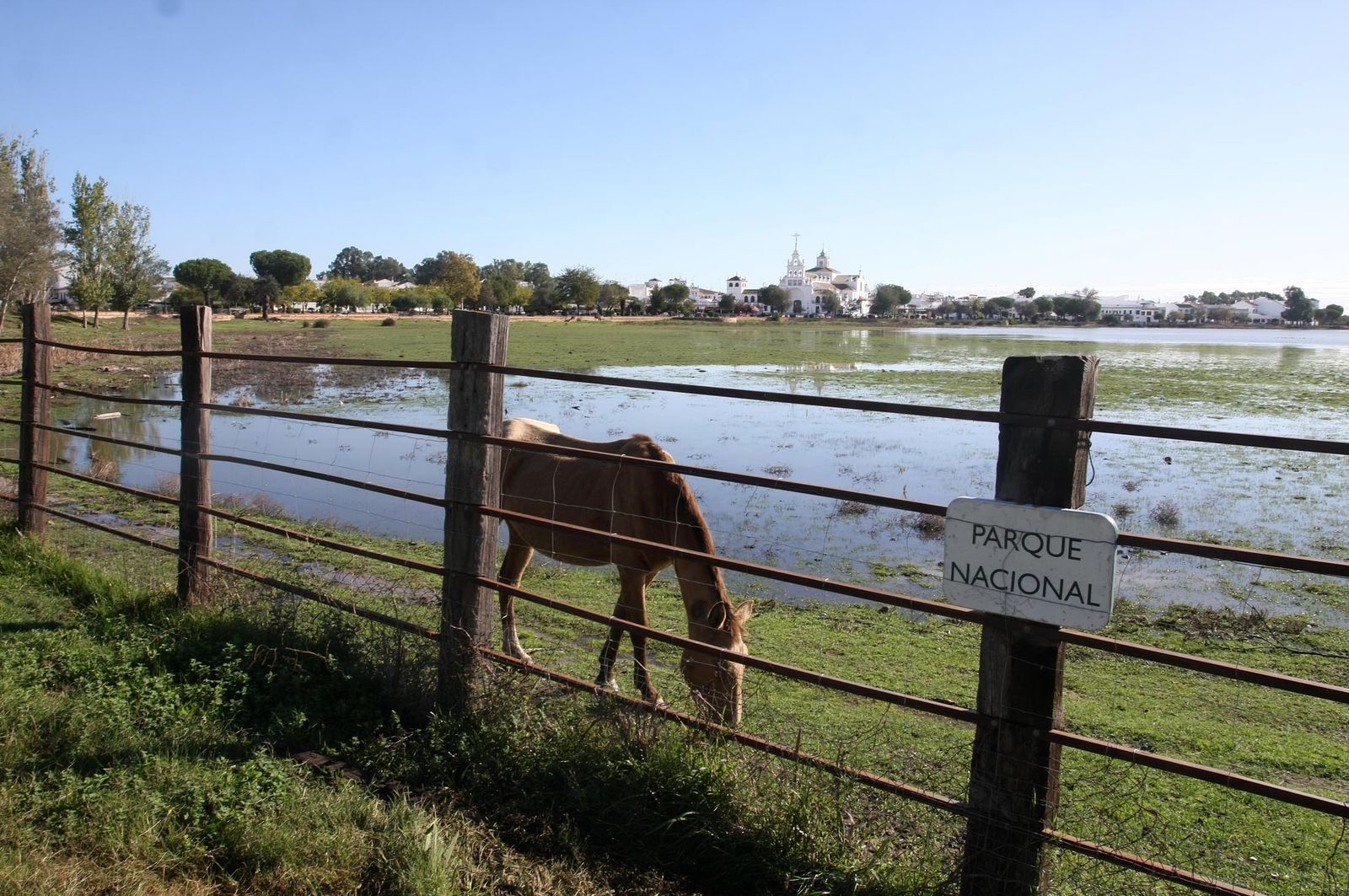 Imágenes de la marisma de El Rocío y de la laguna de El Portil tras las últimas lluvias