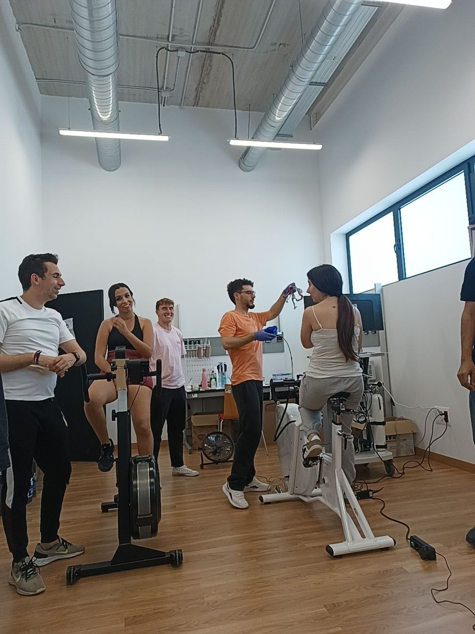 Desarrollo del trabajo para la investigación.