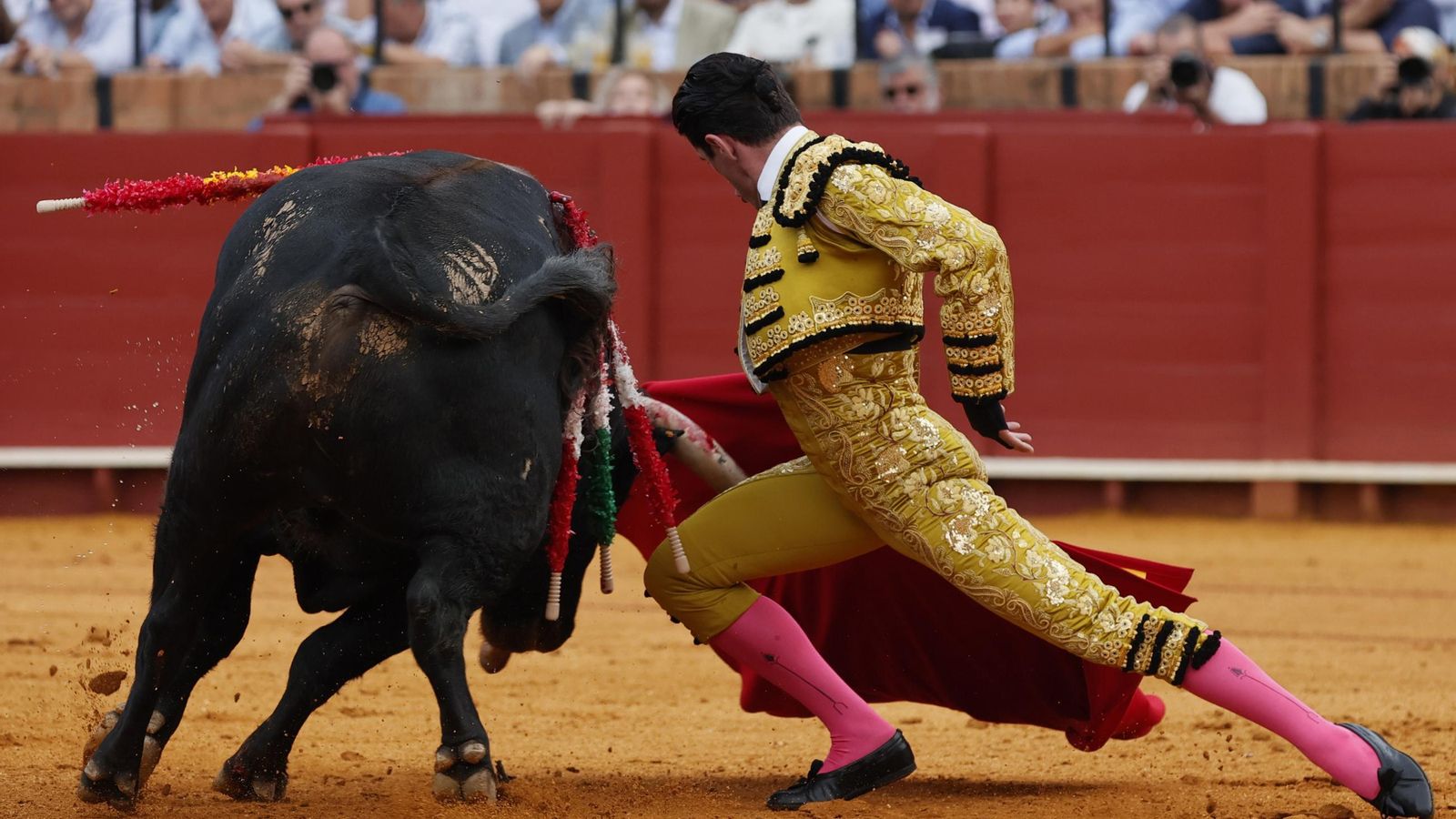 Las imágenes del festejo