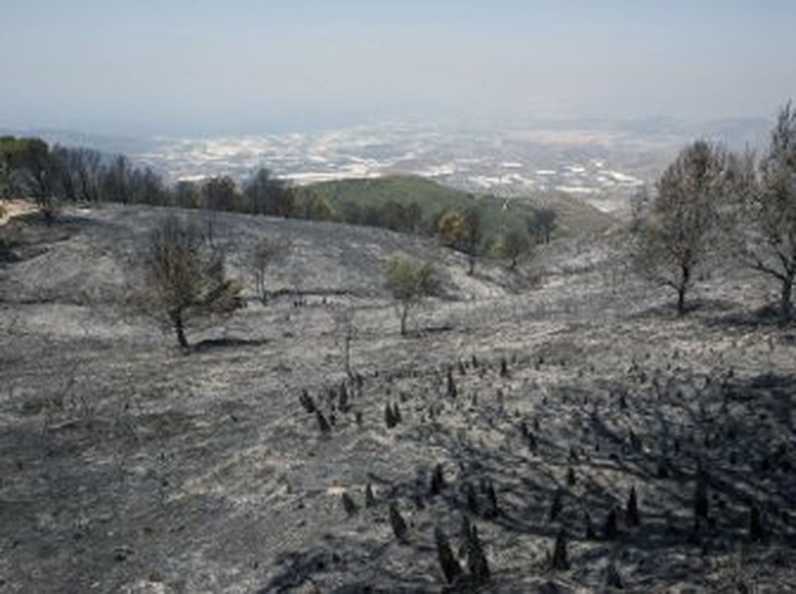 El Infoca da por estabilizado el incendio de la Sierra de Lújar
