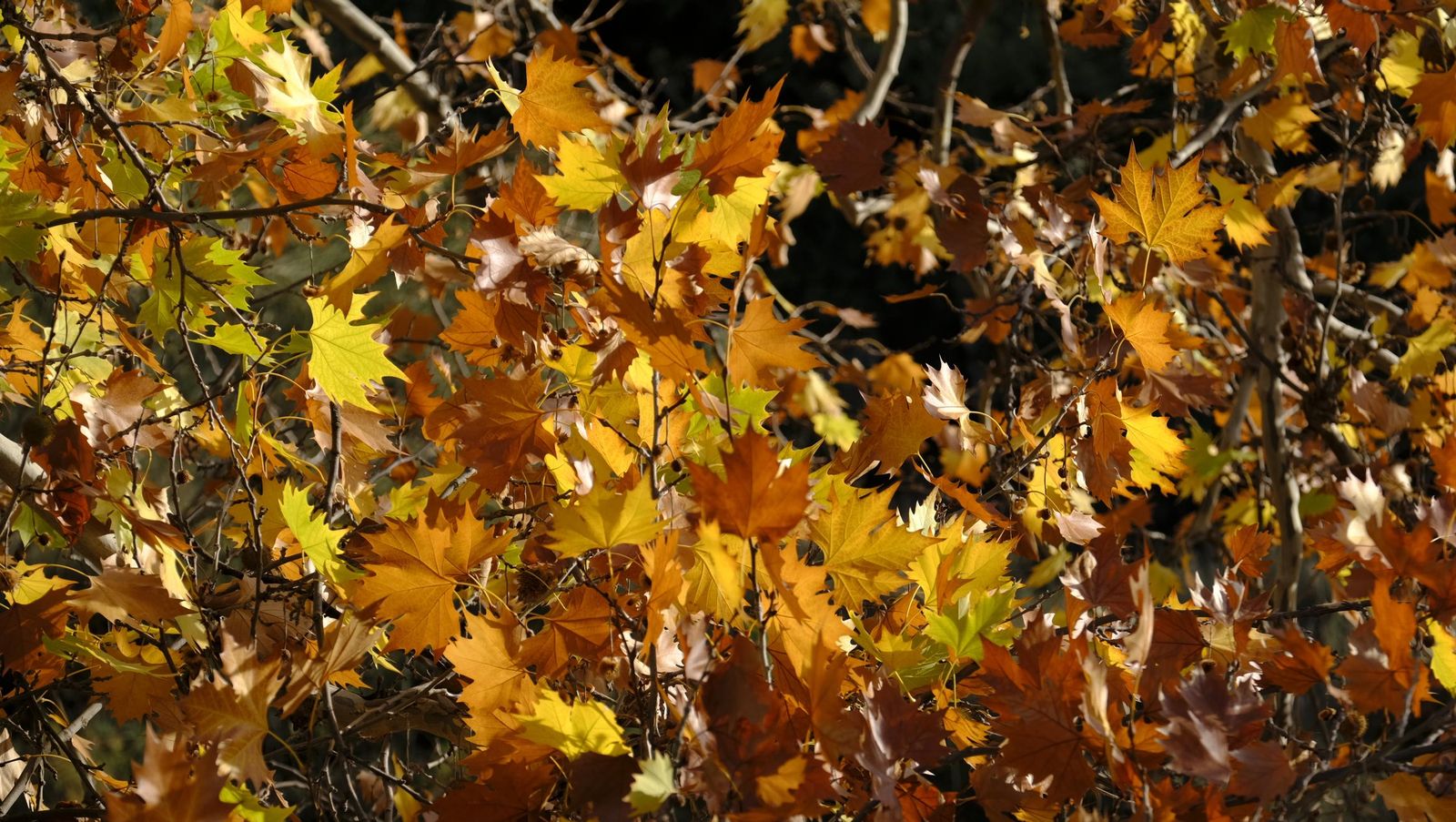 Limpieza y senderismo por la Alpujarra, en imágenes