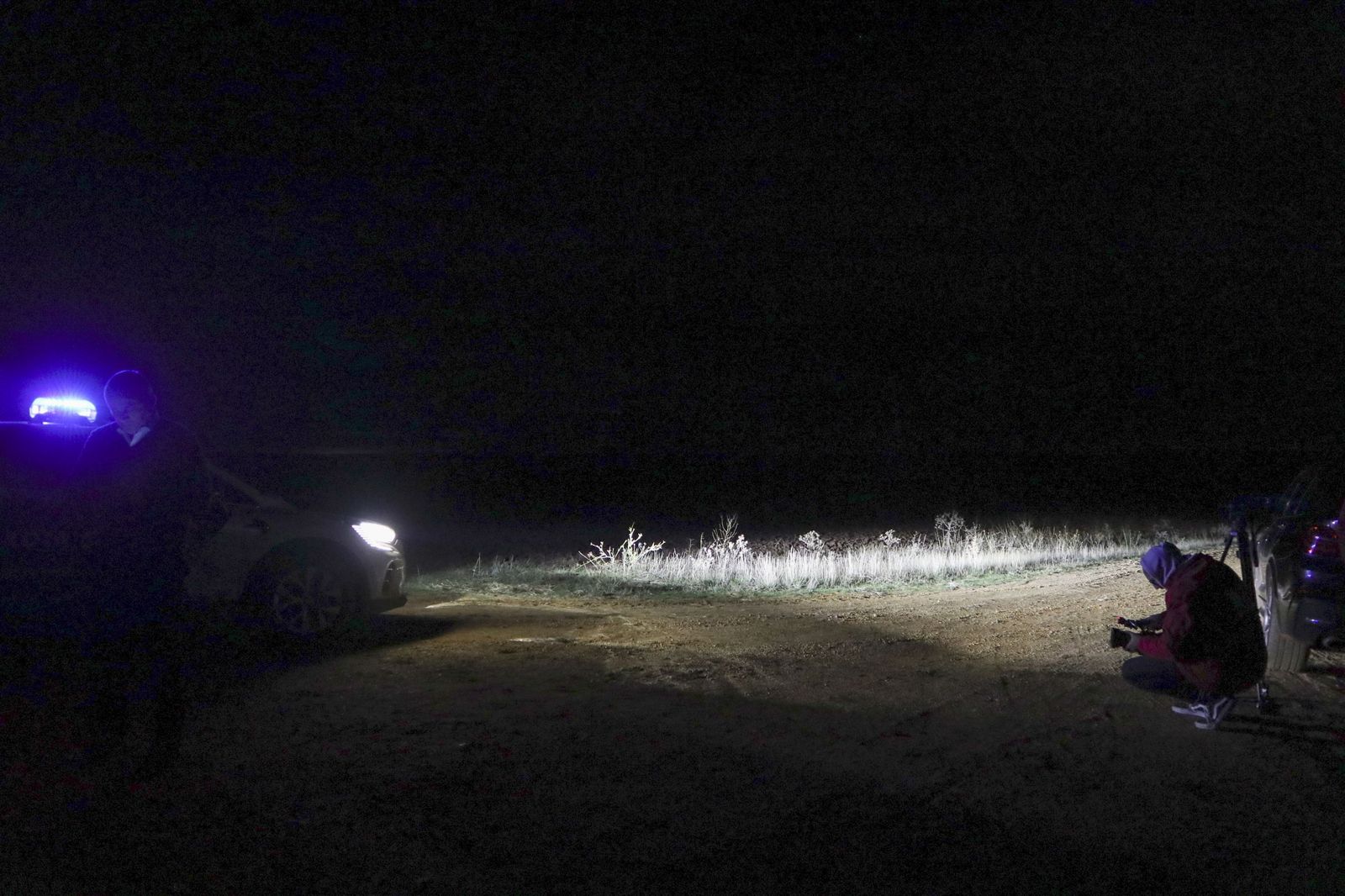 Zona en la que la joven fue atacada por los perros