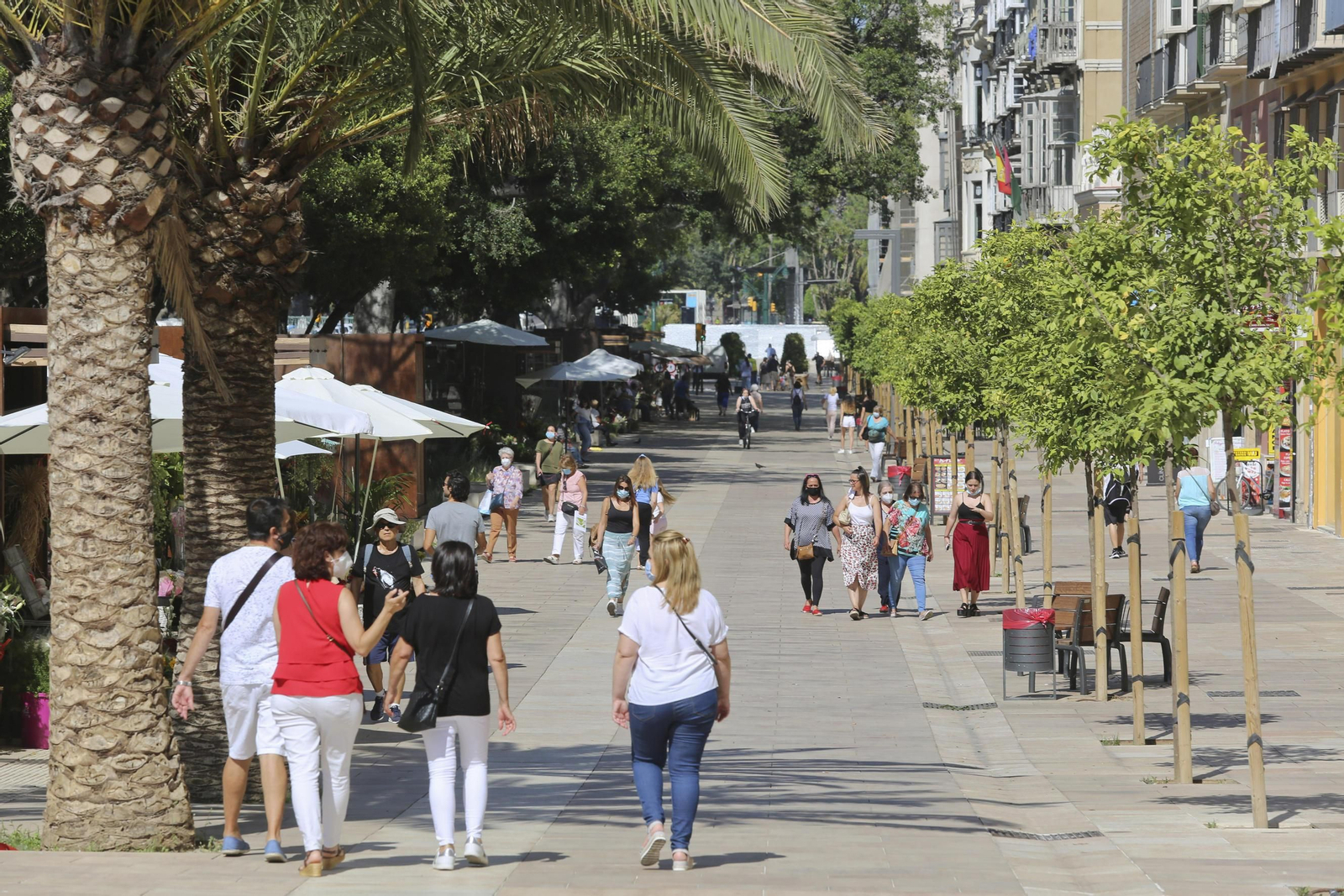Las fotos de la Alameda Principal de Málaga Las fotos de la Alameda Principal de Málaga