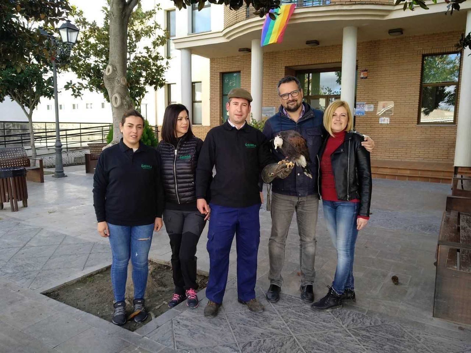 Halcones y jaulas para acabar con la 'invasión' de palomas en Vegas del Genil