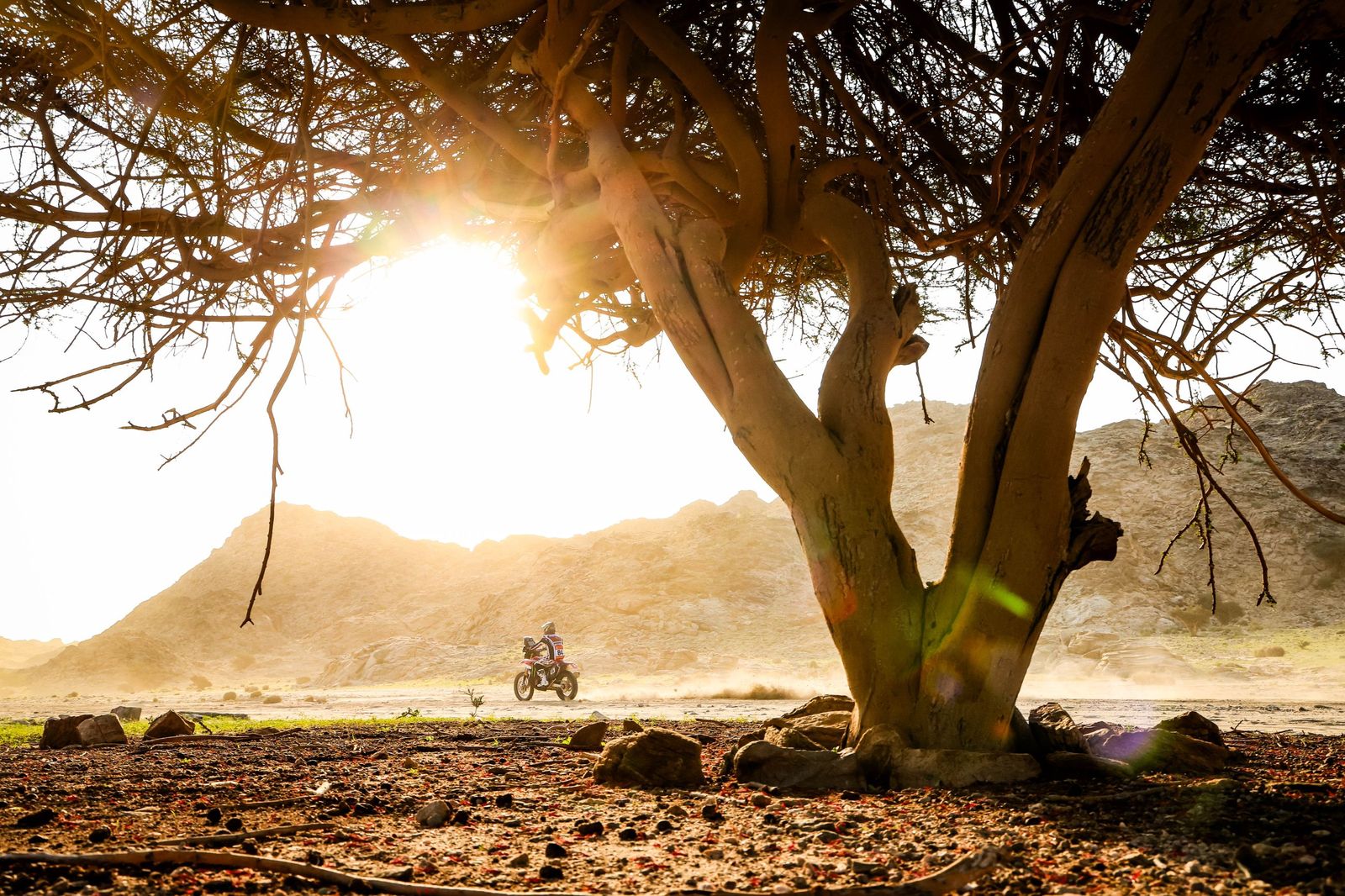 Las mejores fotos del Rally Dakar | Primera etapa