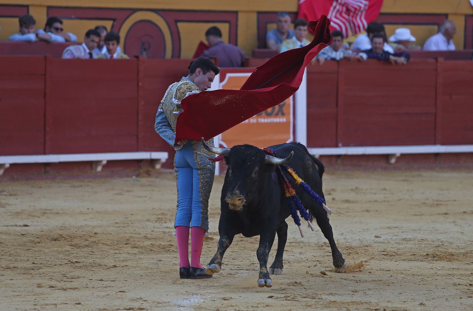La novillada de Miguelín que abre la feria de Algeciras, en imágenes
