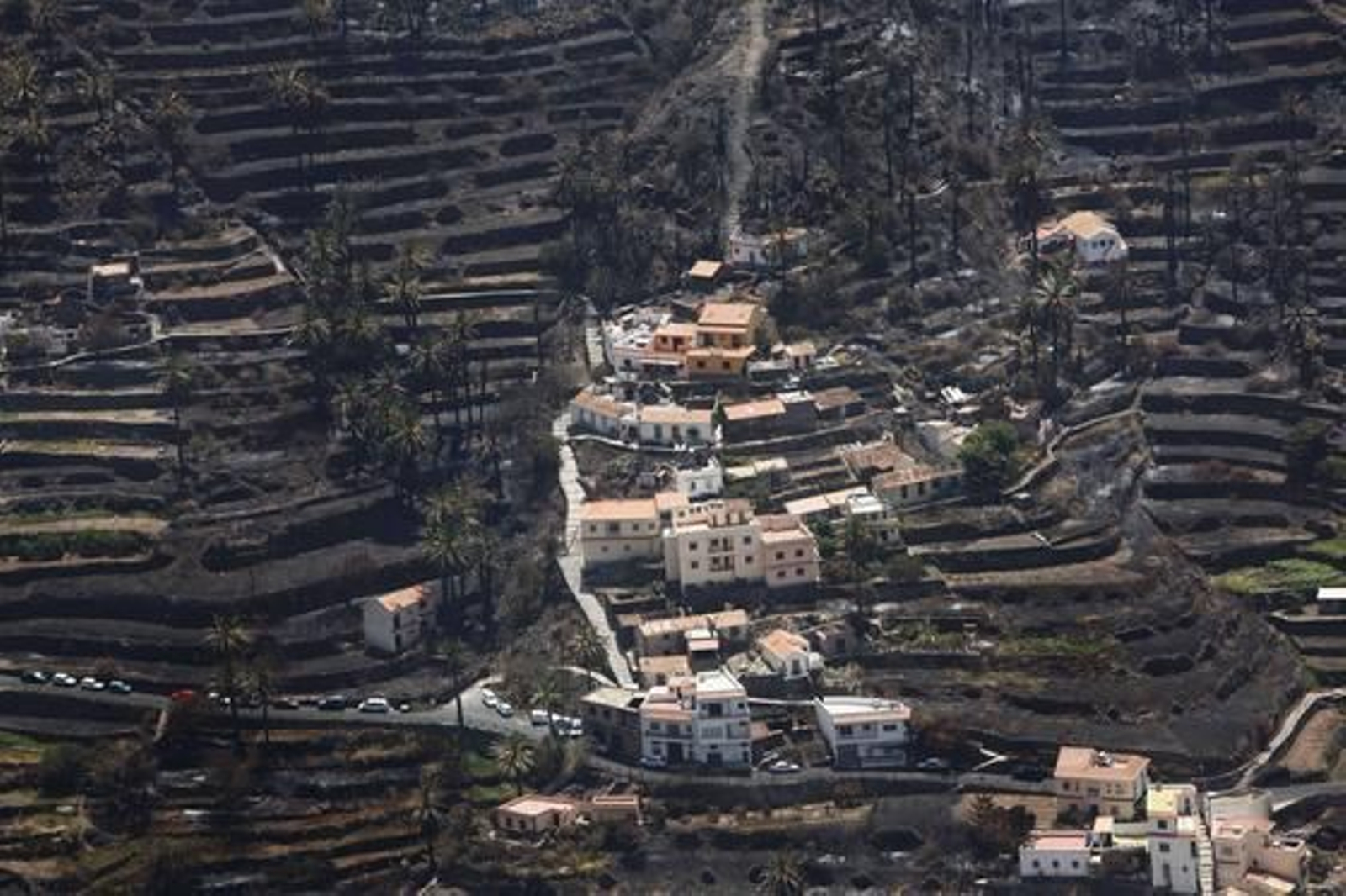 Foto: Desiree Martín