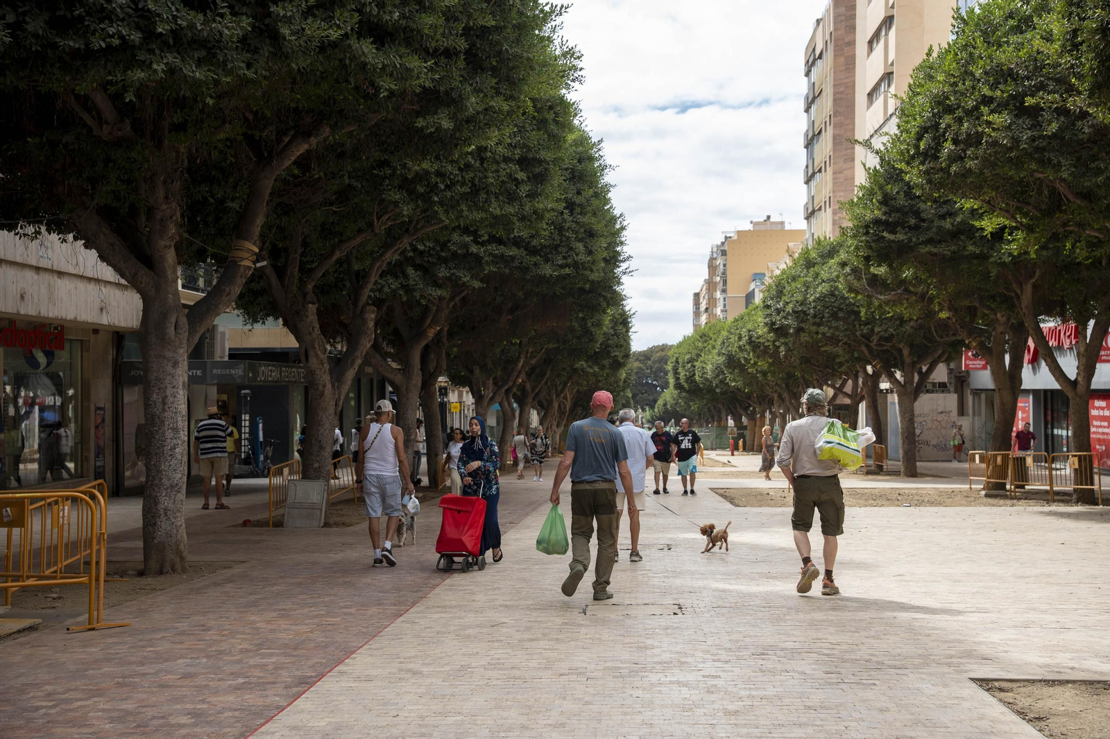 Cortes peatonales por obras en el paseo