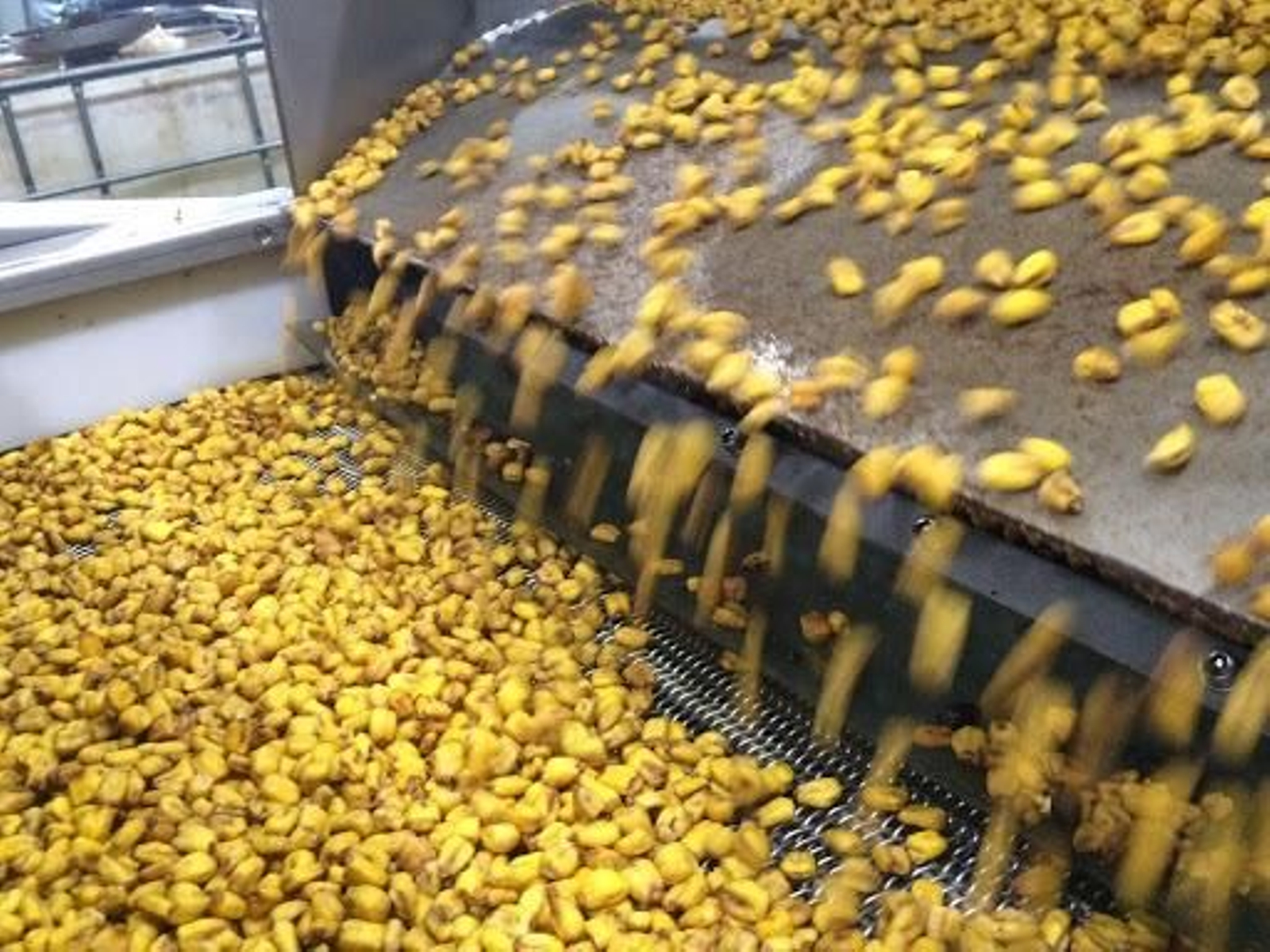 Las exportaciones de vino, frutos secos y aceite de Granada, tocadas por el coronavirus