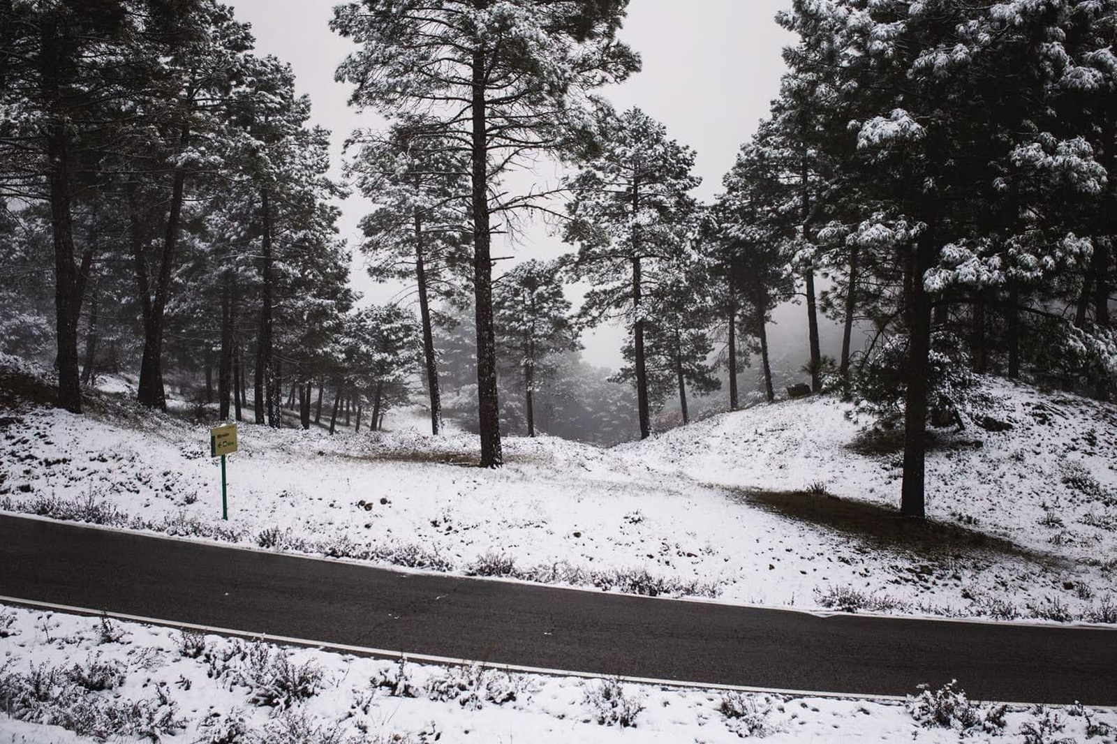 Nieve en el Puerto del Boyar.